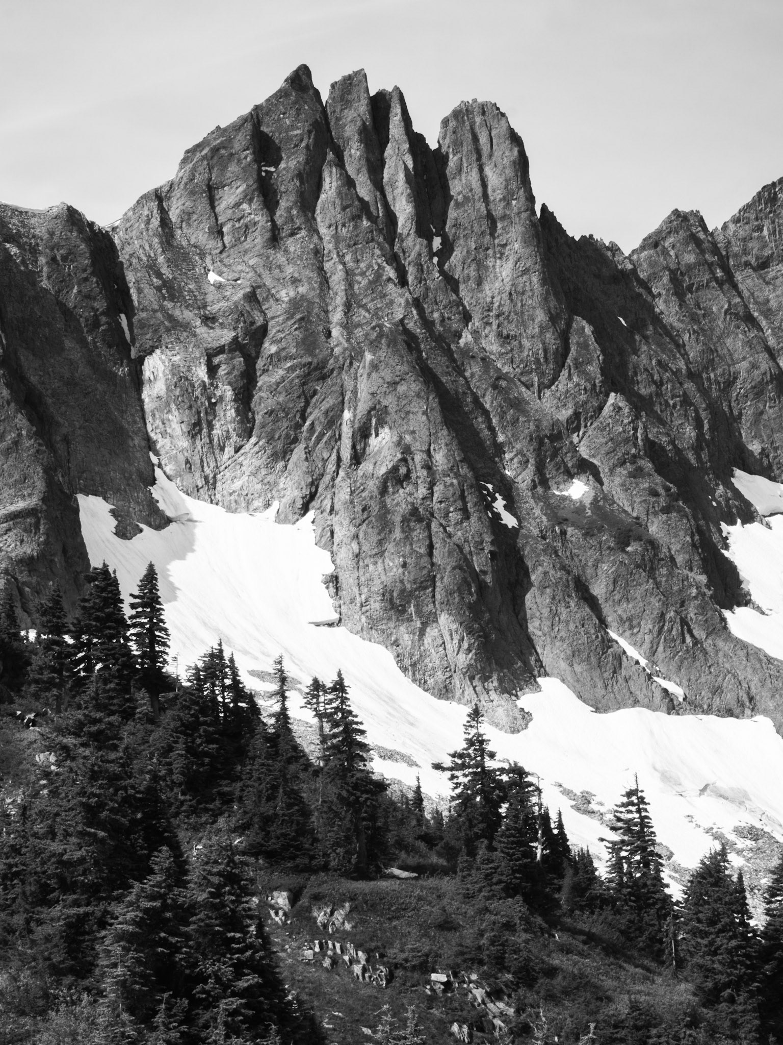 A Forest at the Edge of the Snow and Mountains