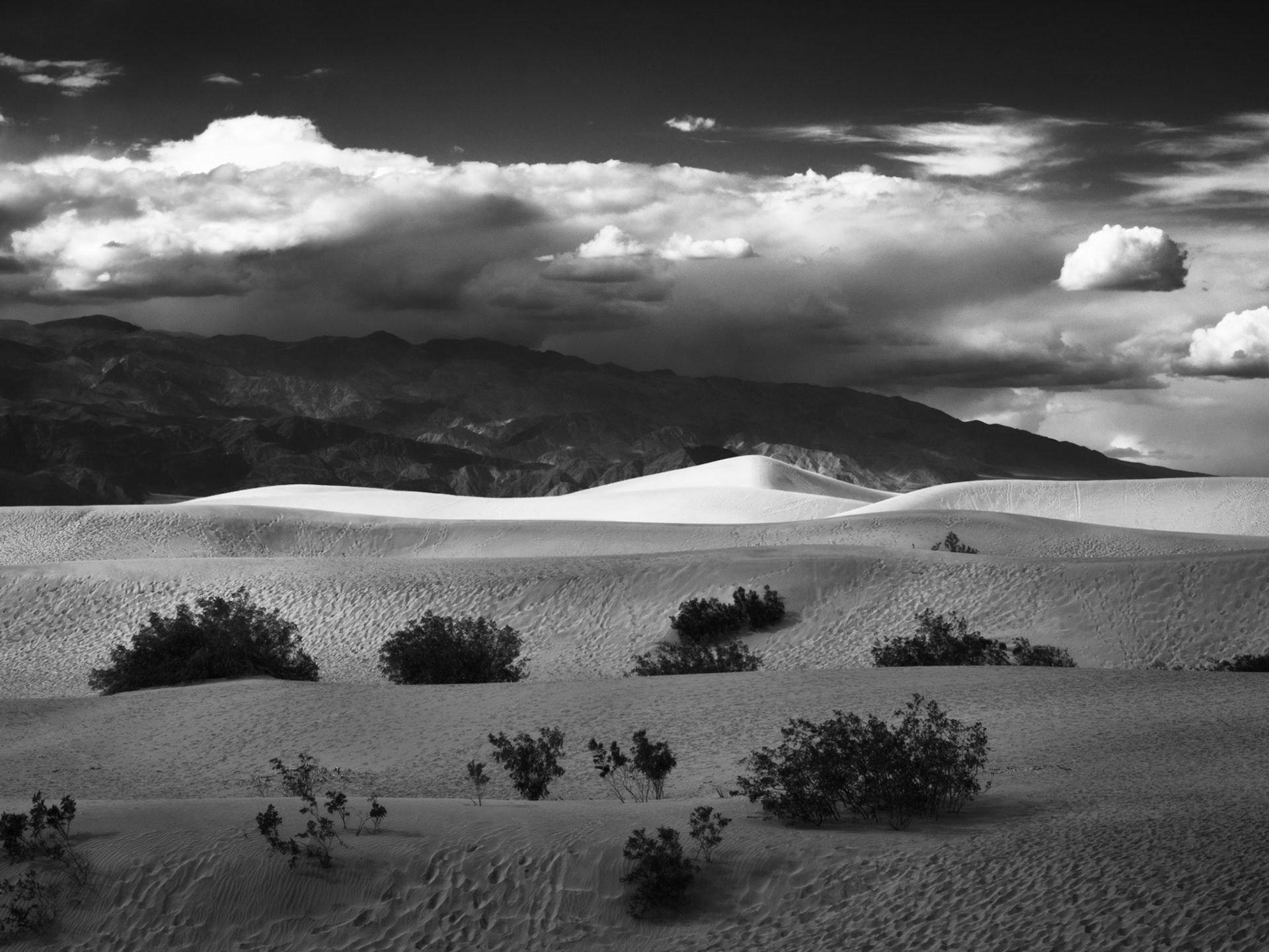 Mesquite Flat Dunes #2