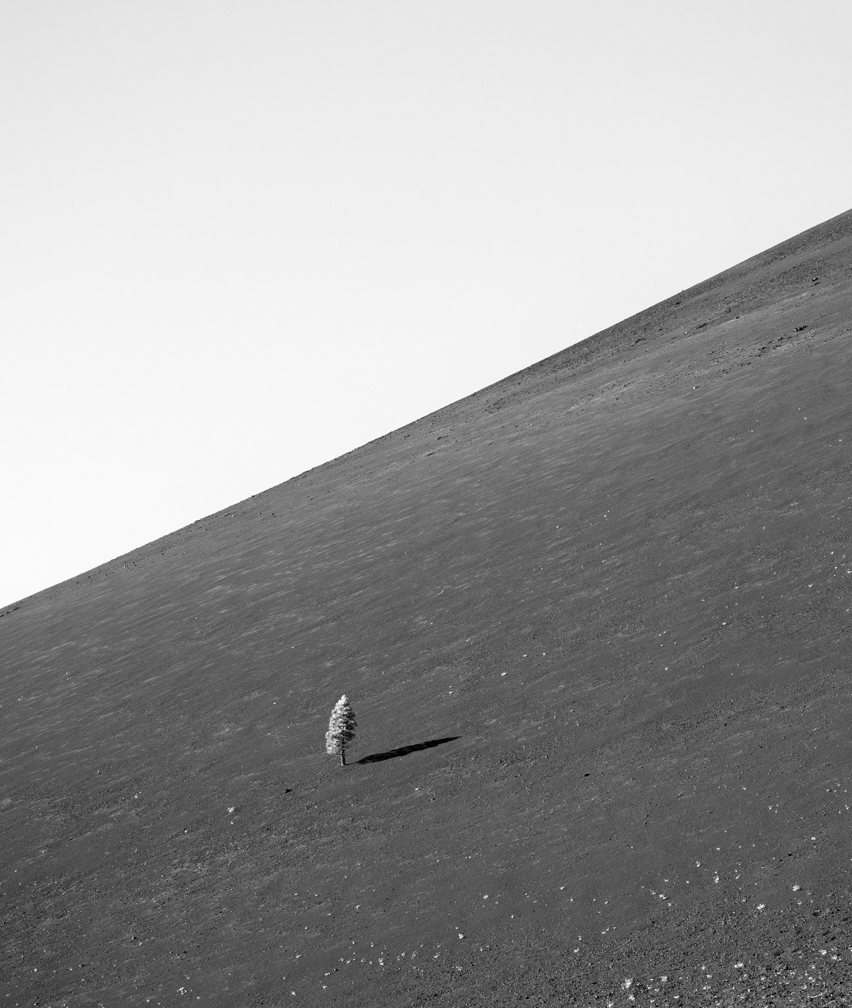 First Arrival on Cinder Cone