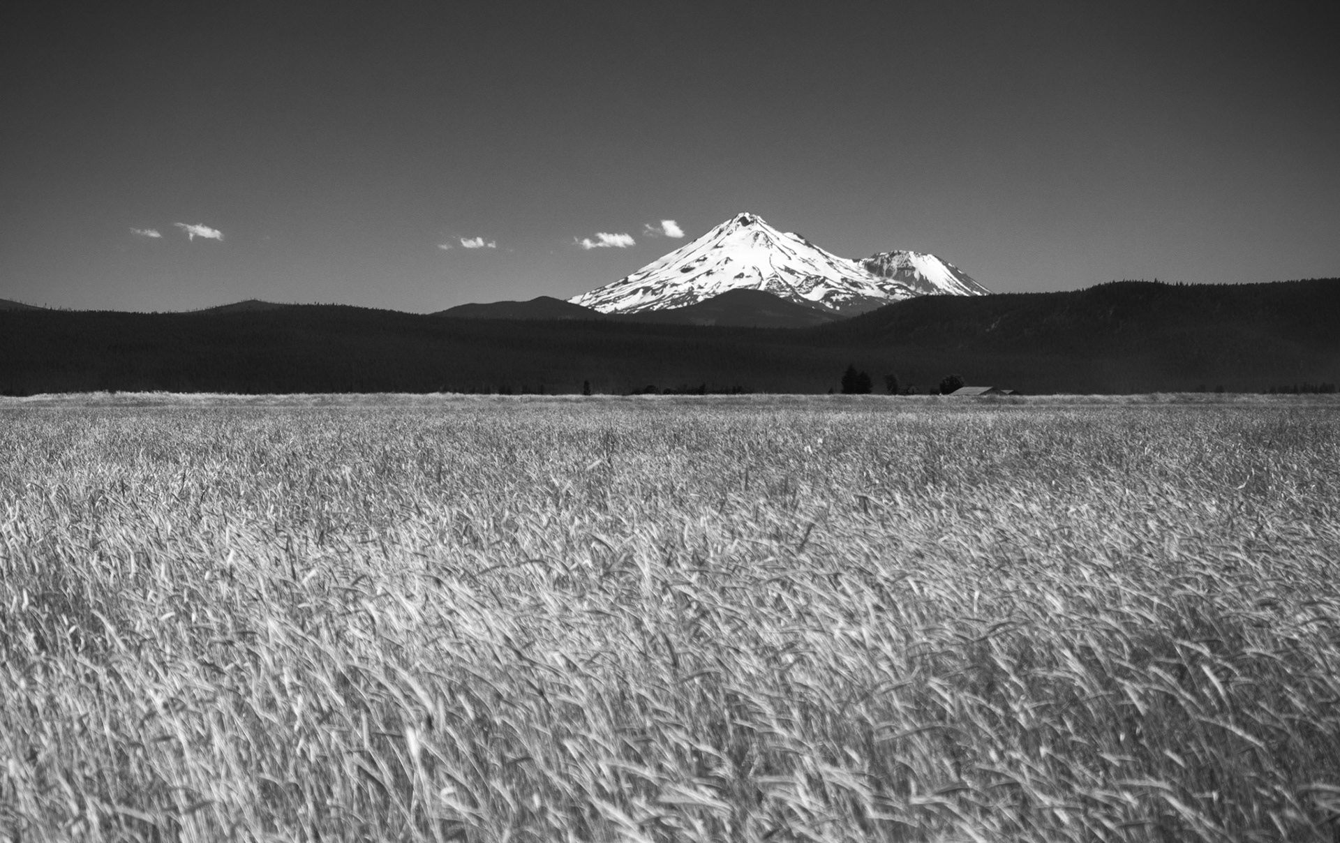 Northern California Landscape #1