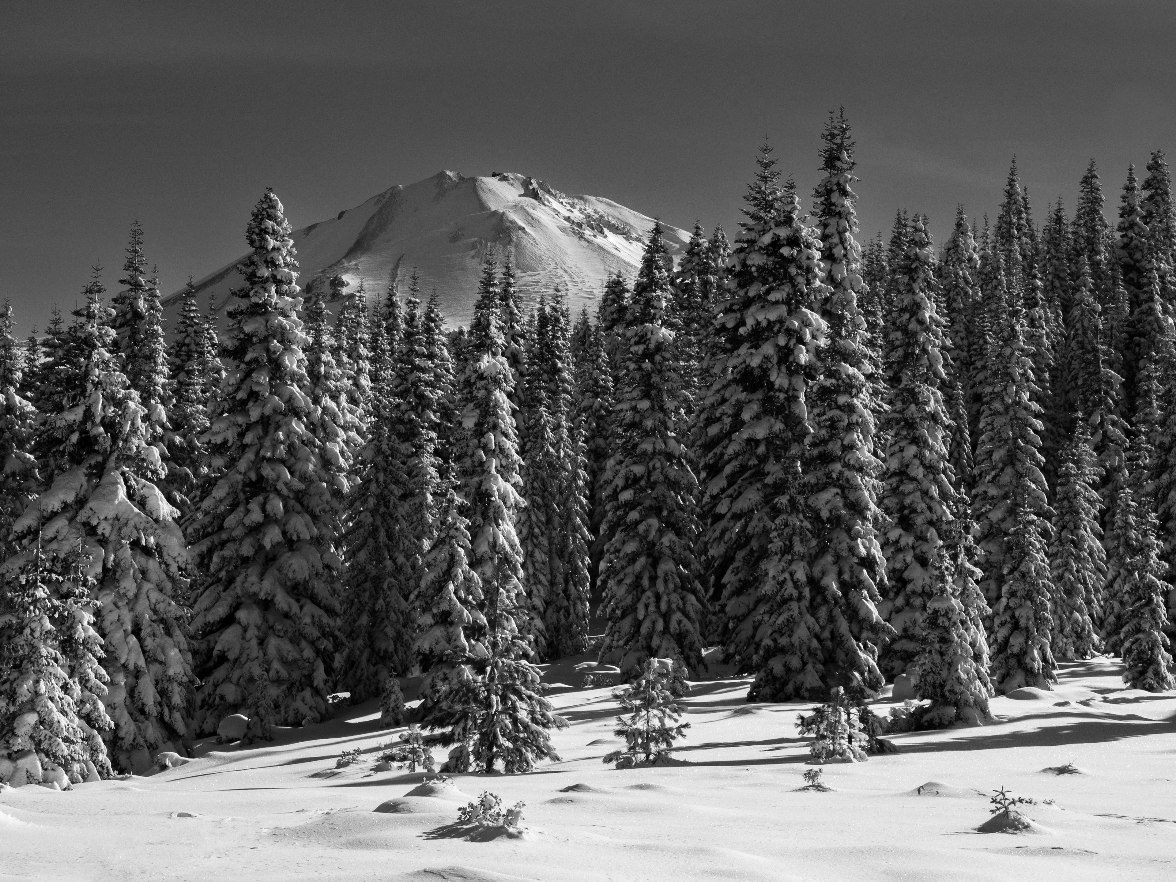 Lassen Peak Behind the Forest