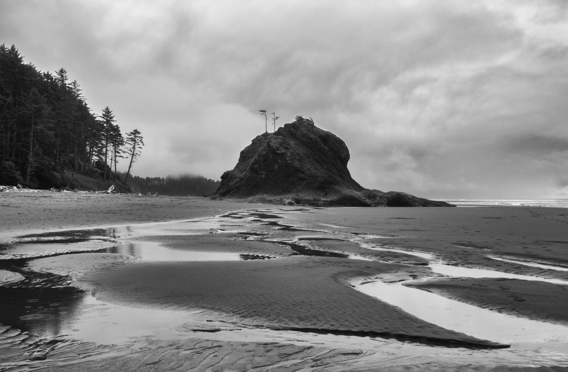 Rains on the Olympic Coast