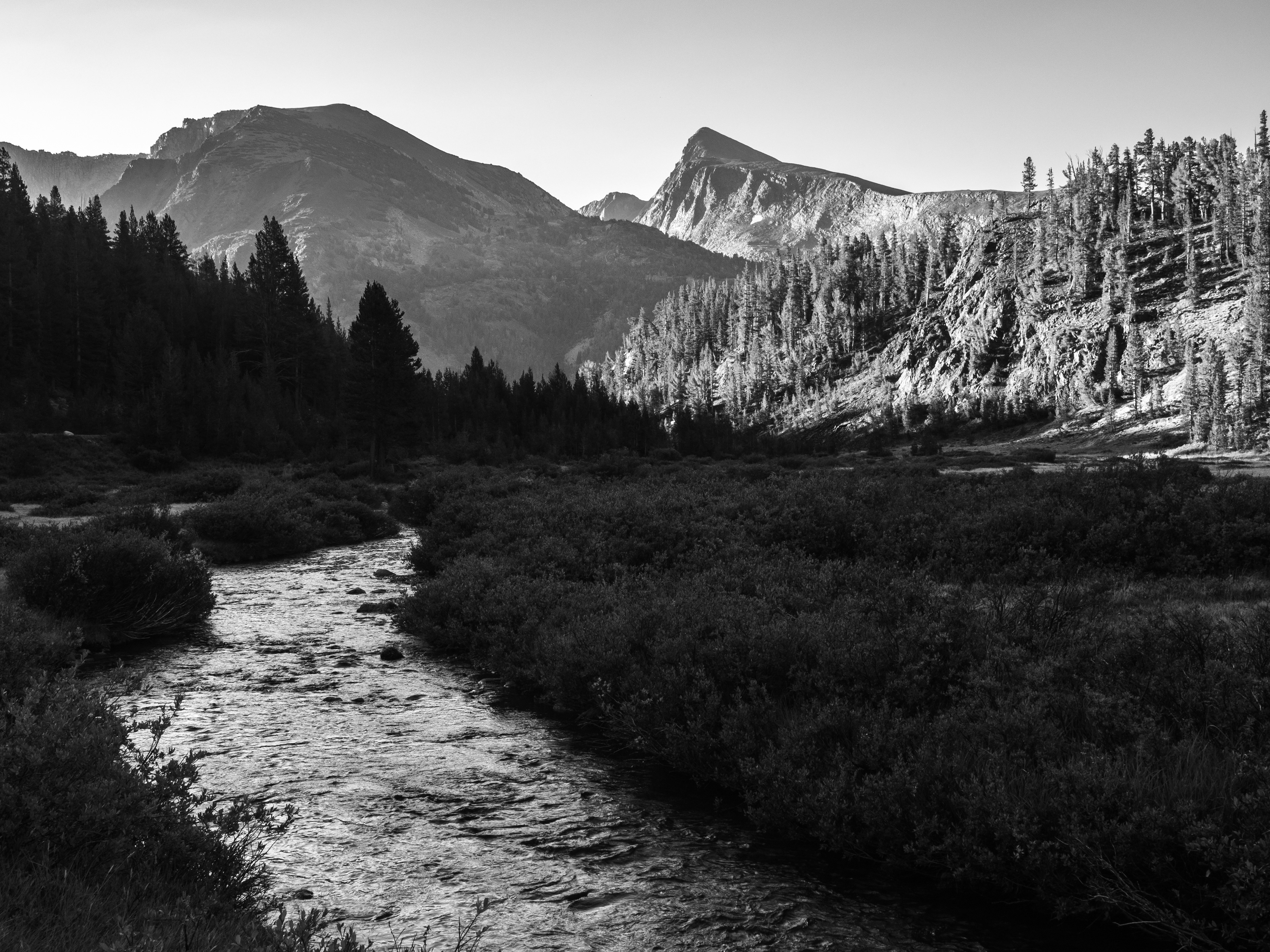 Morning Along Mine Creek