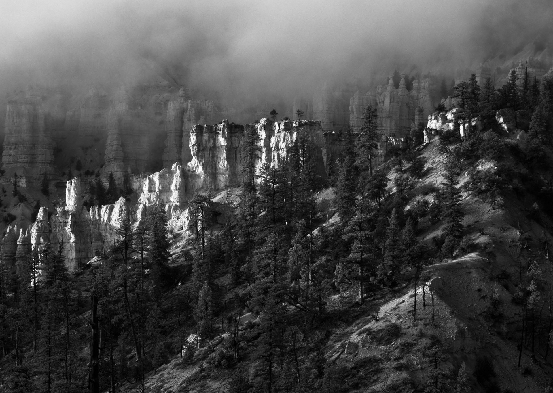 Fog Above Bryce Canyon