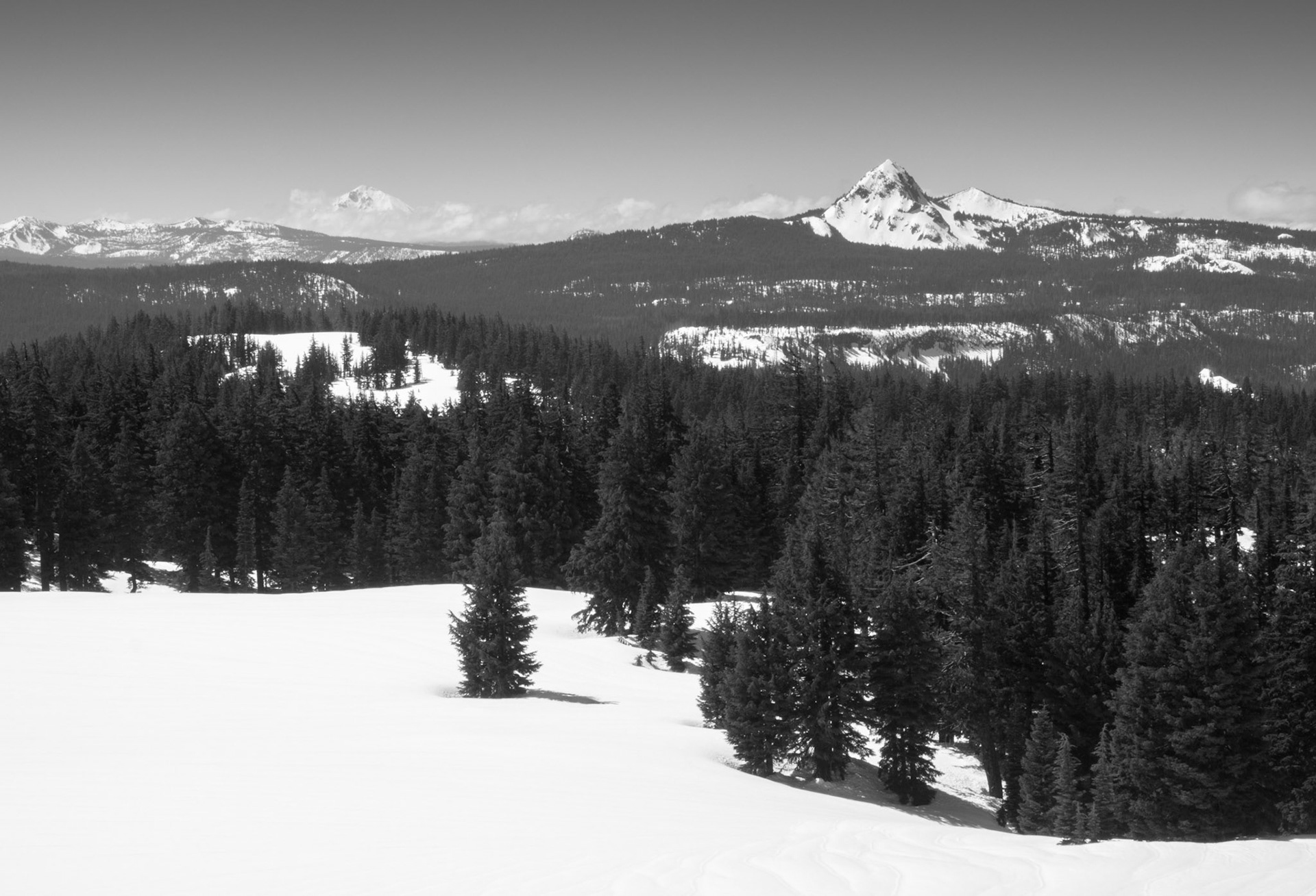 The Forest the Surround Crater Lake