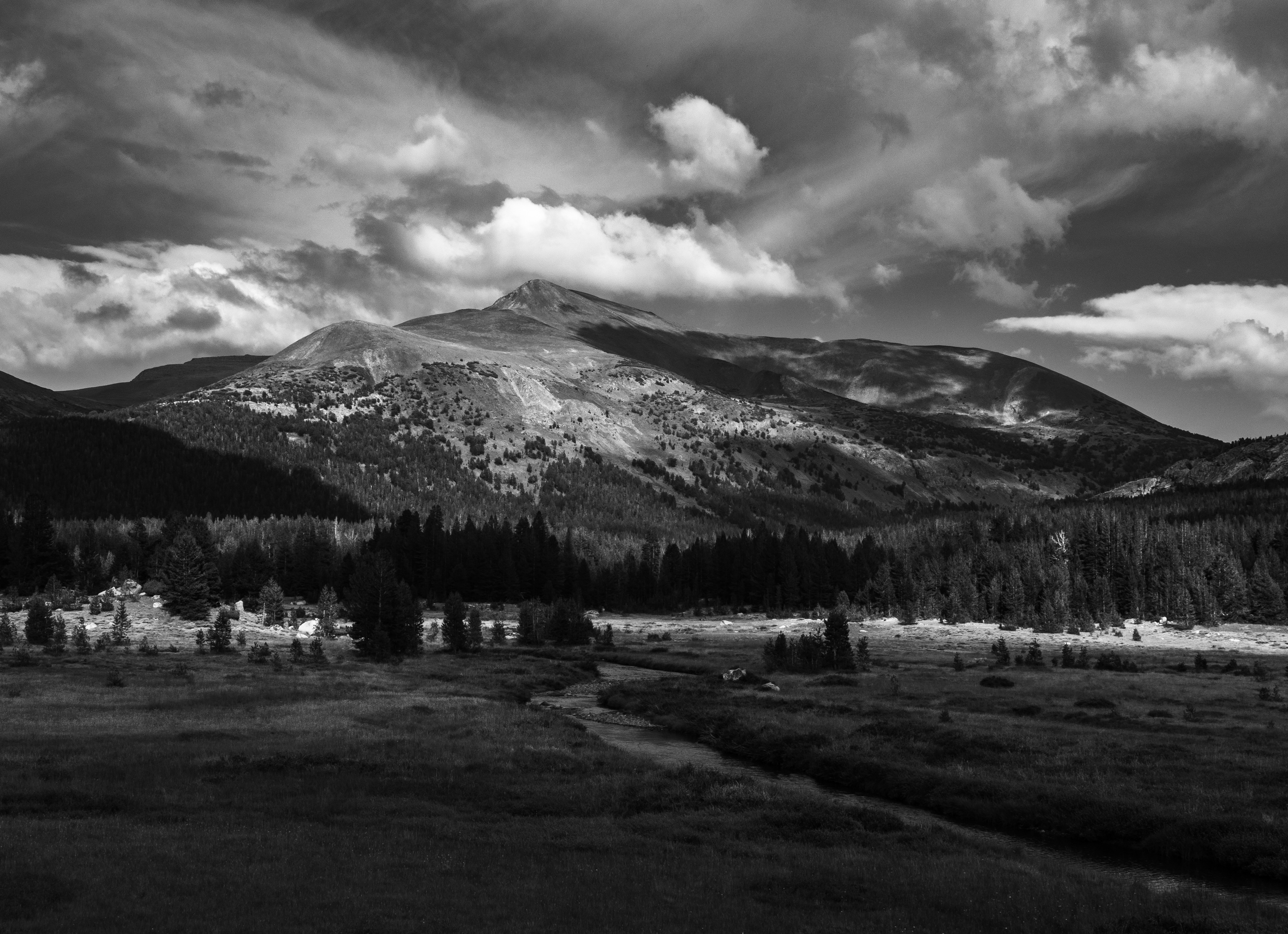 Mount Gibbs Overlooking a Meadow