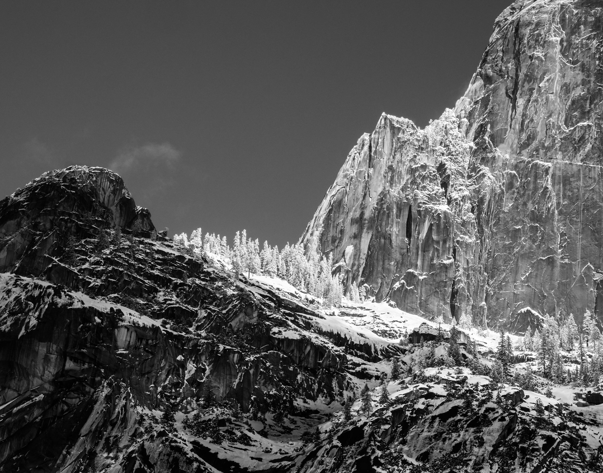 A Snow Covered Forest Beside Half Dome