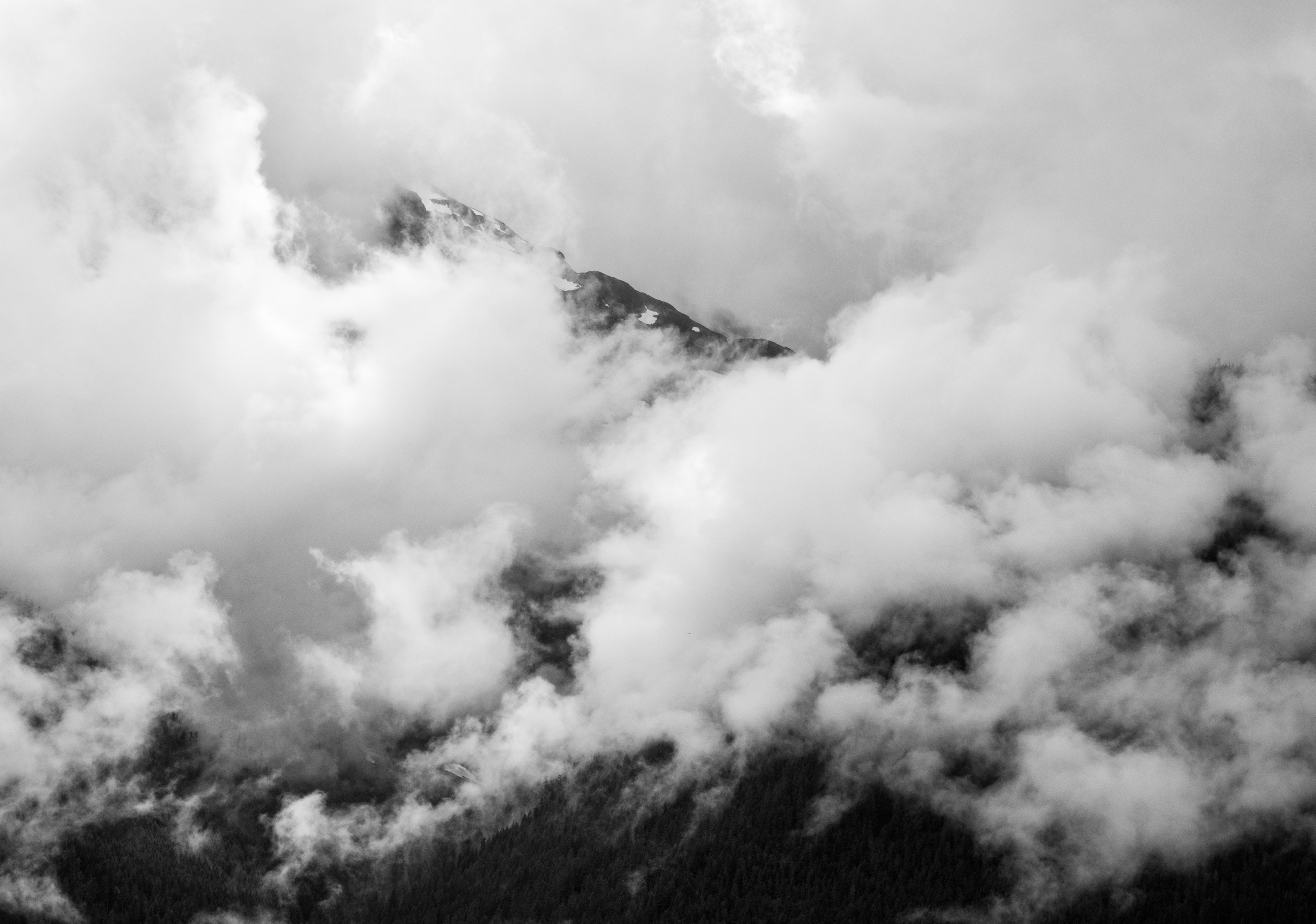 North Cascades Enveloped by the Fog