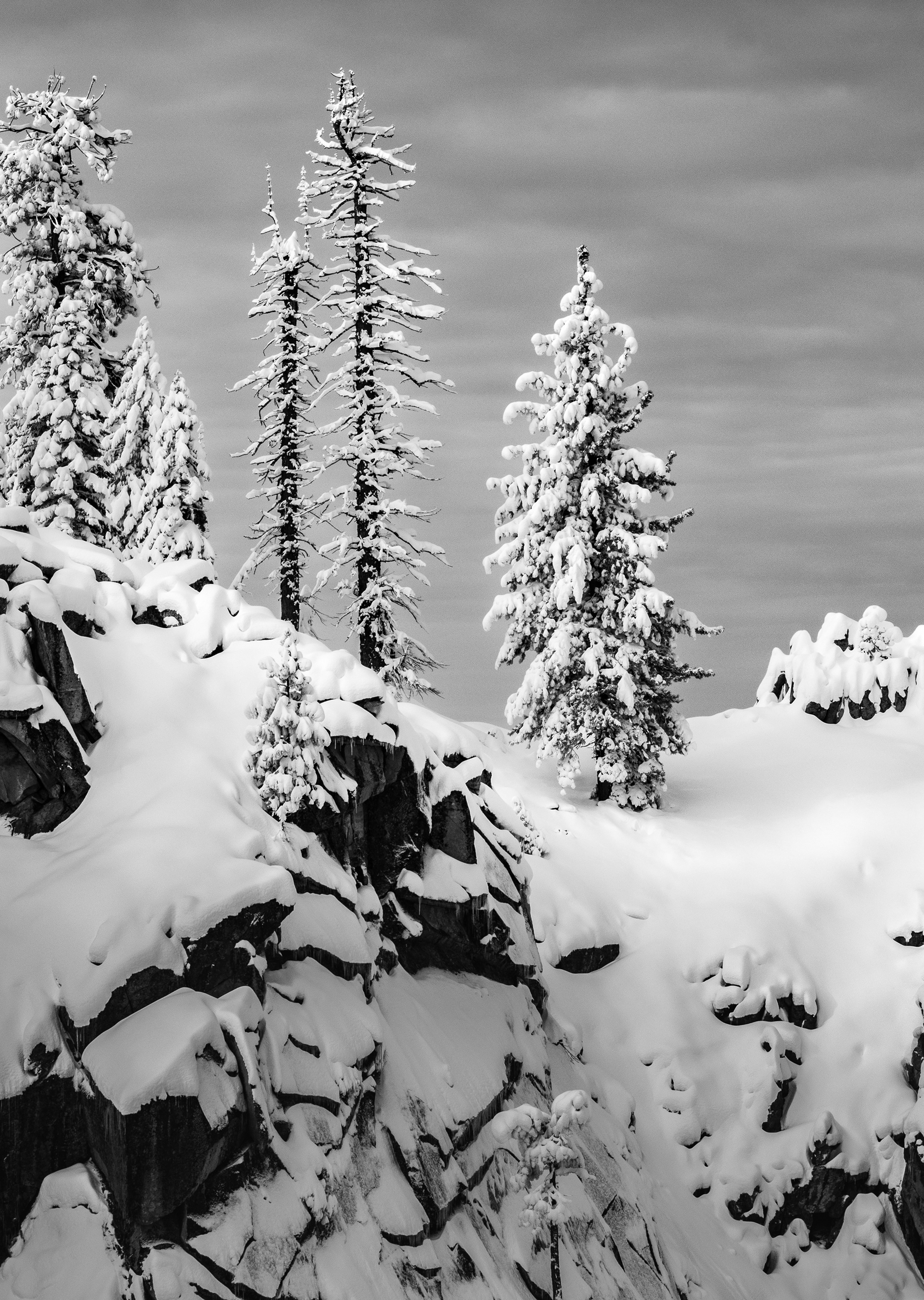 Snow Covered Trees on a Cliff