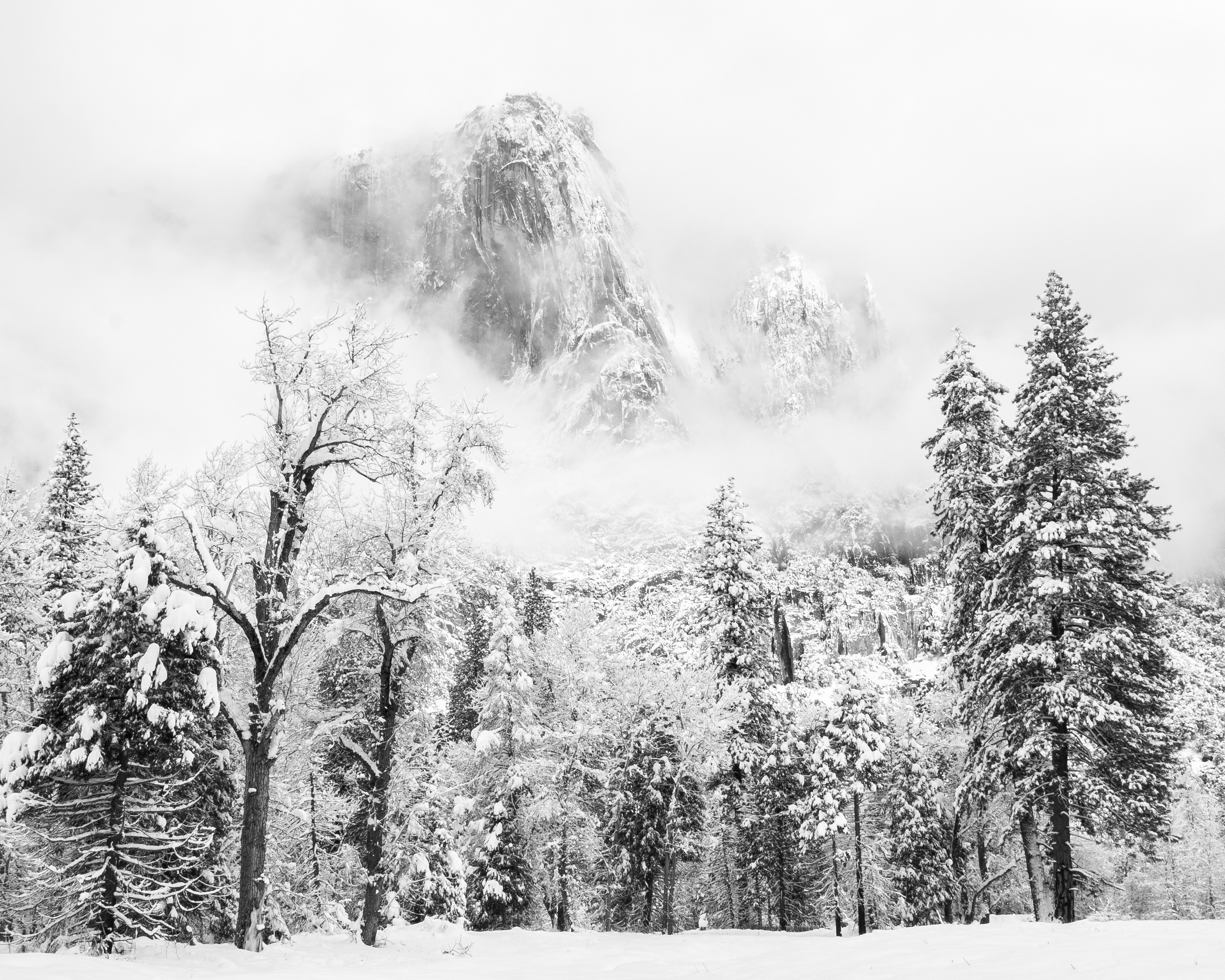 The Valley Rim Through the Fog