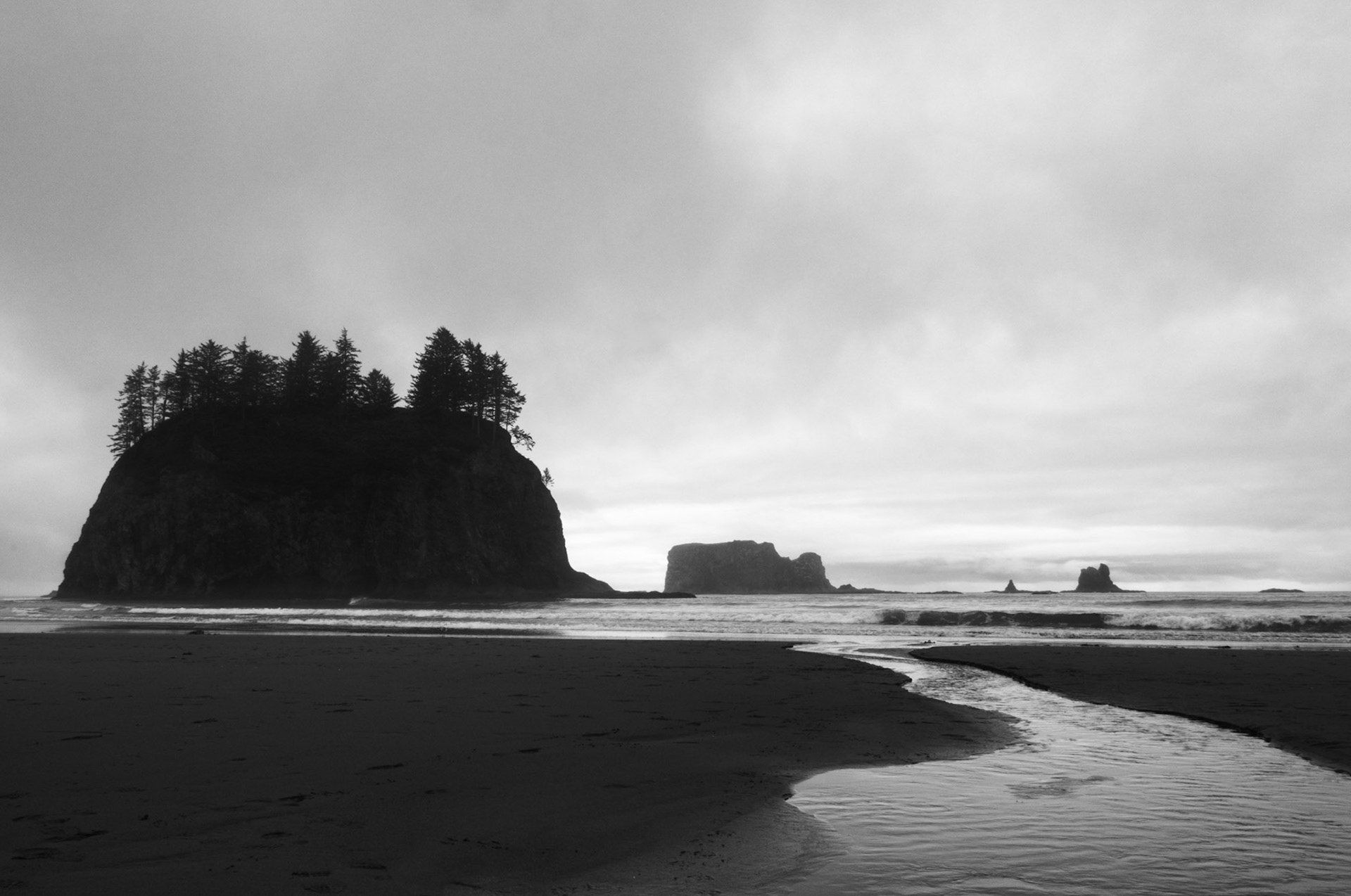 Forested Islands on the Olympic Coast