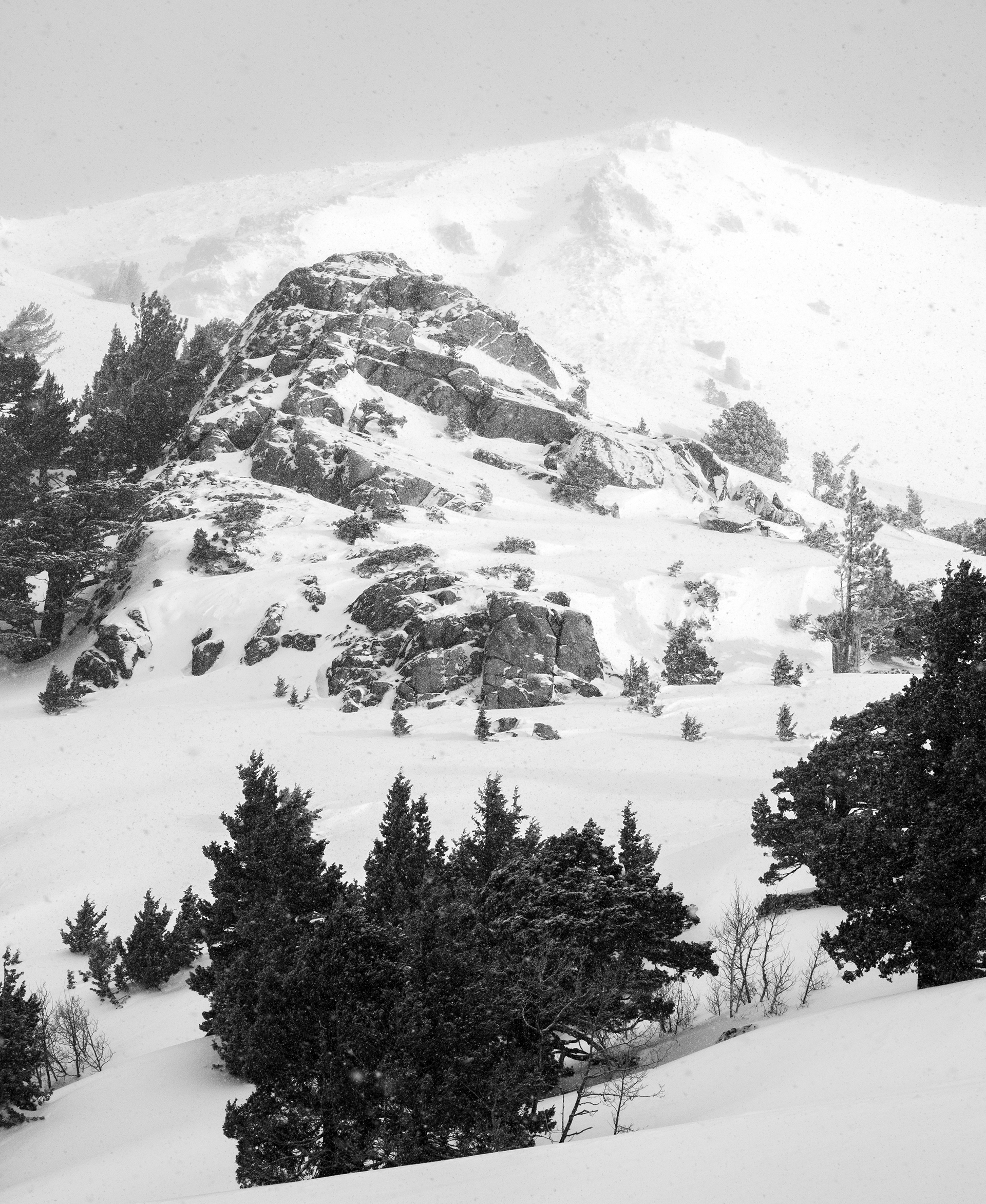 Snow Covered Rocks at Carson Pass
