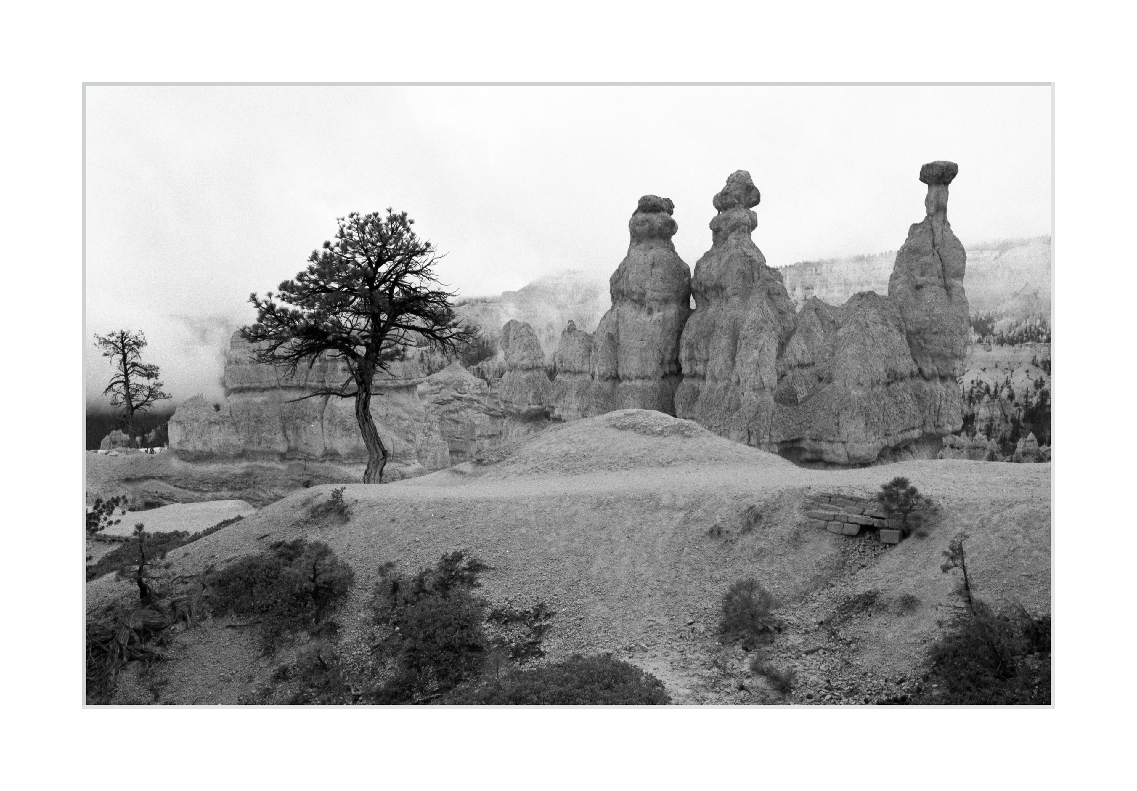 Bryce Canyon Landscape