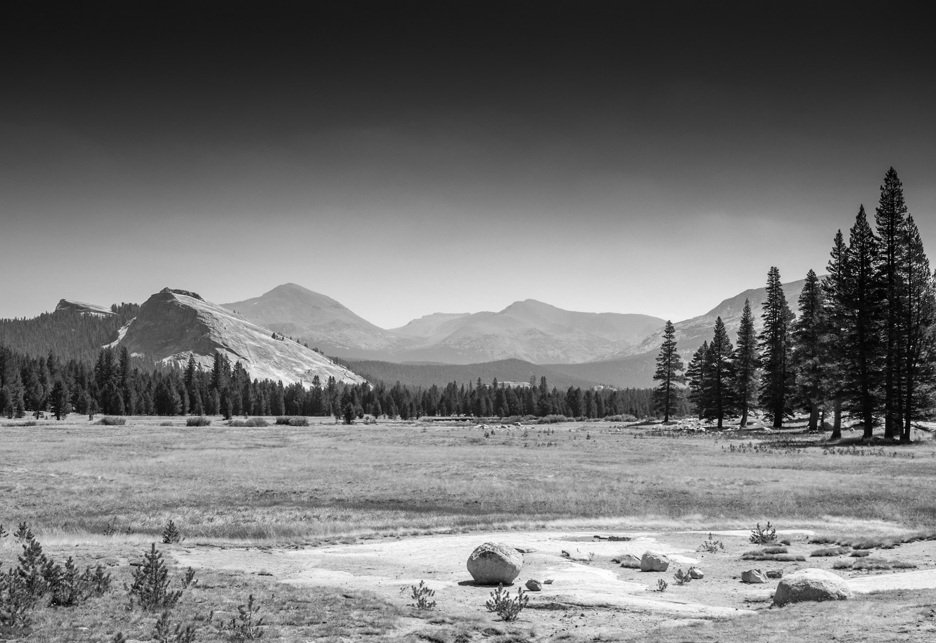 Tuolumne Meadows