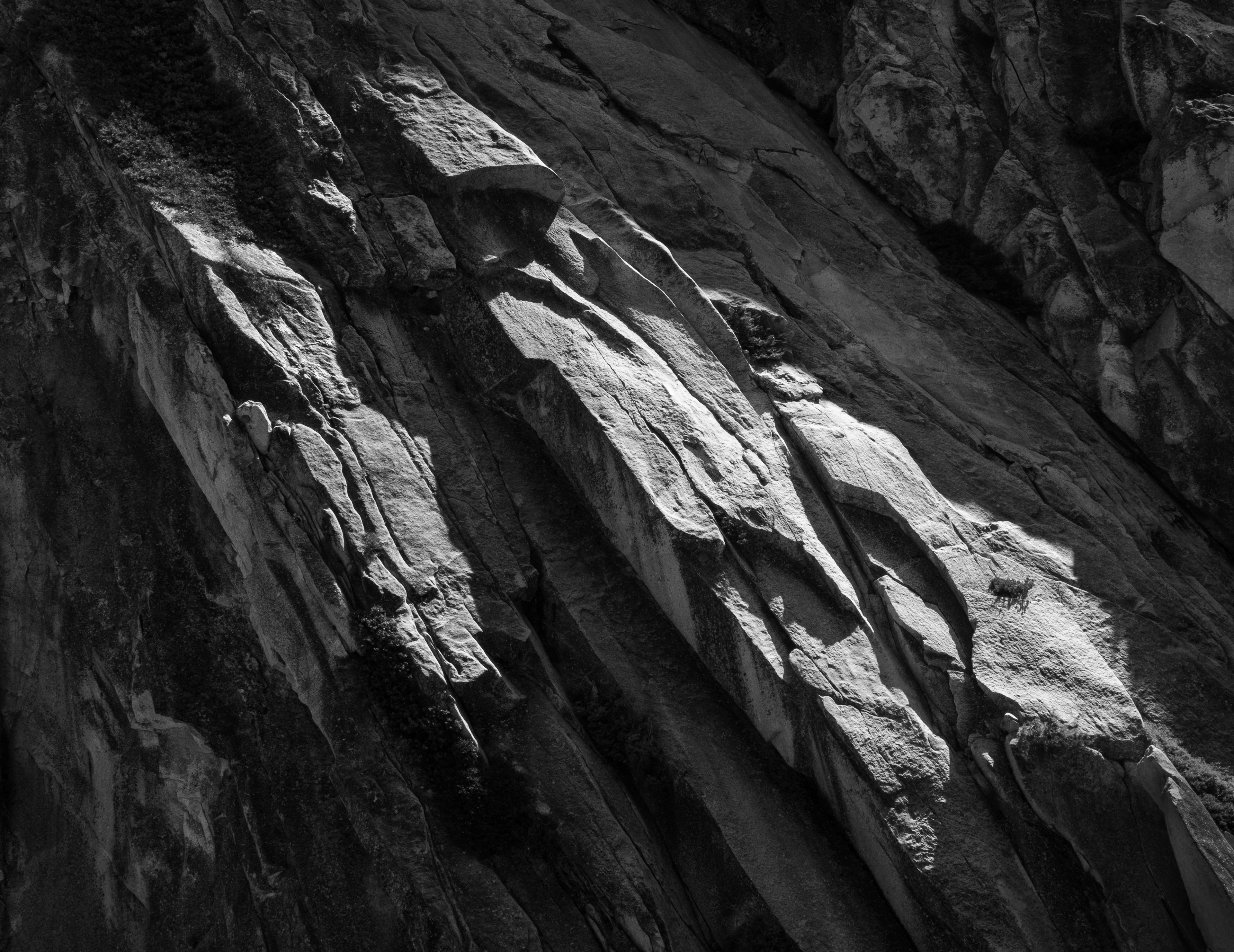 Light on Half Dome Granite