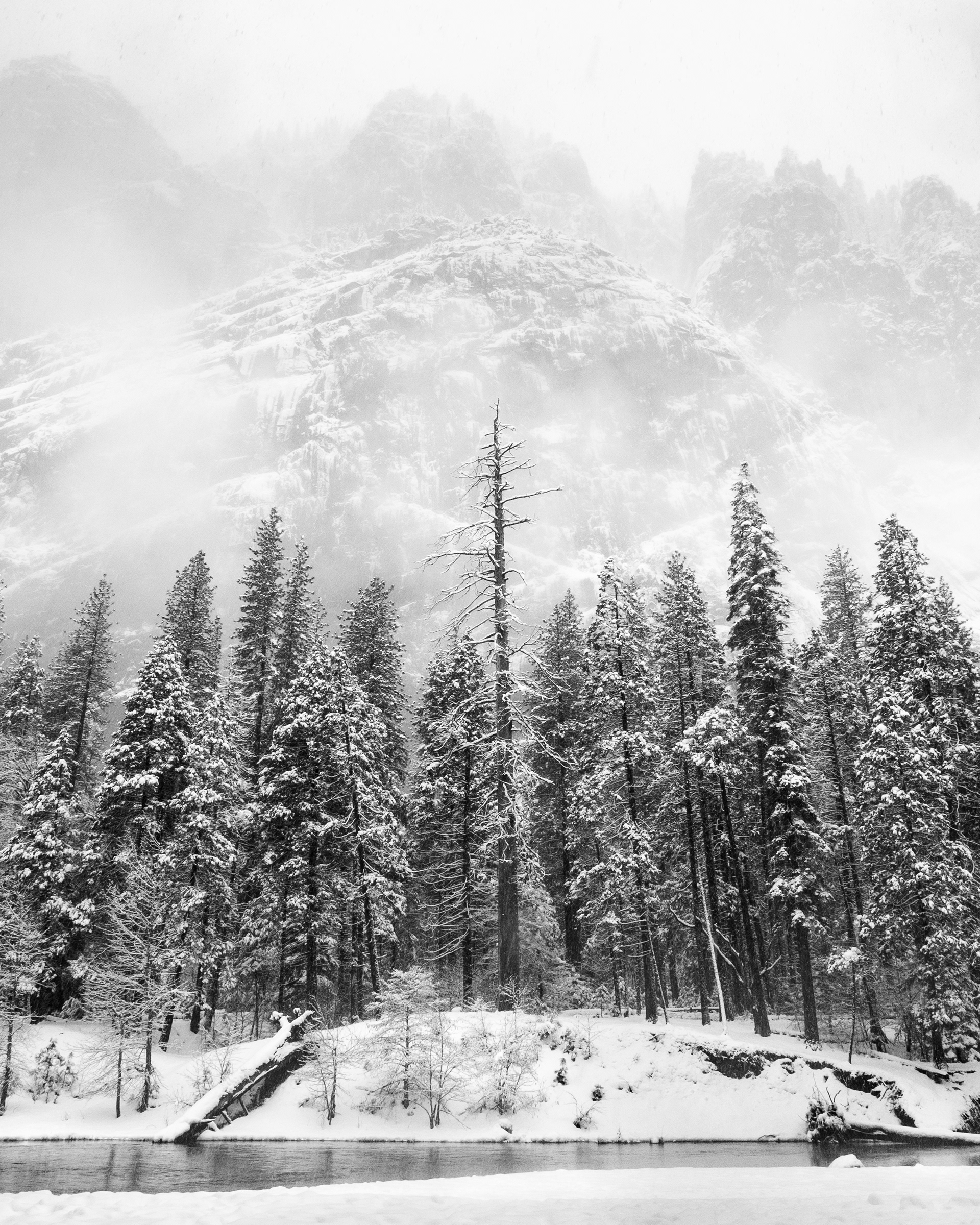 A Winter Scene Along the Bank of the Merced River