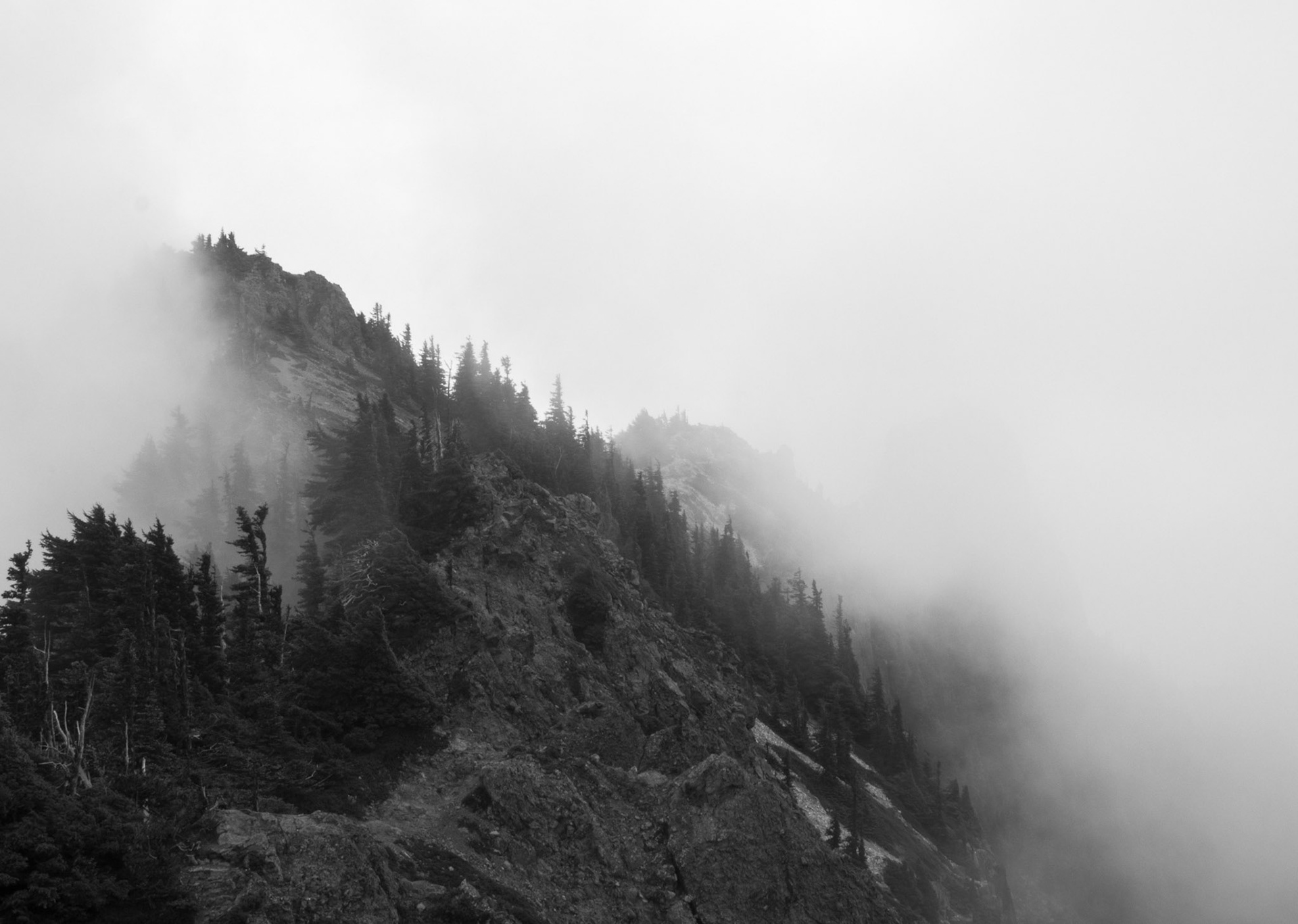Mountains in Fog at Tolmie Peak