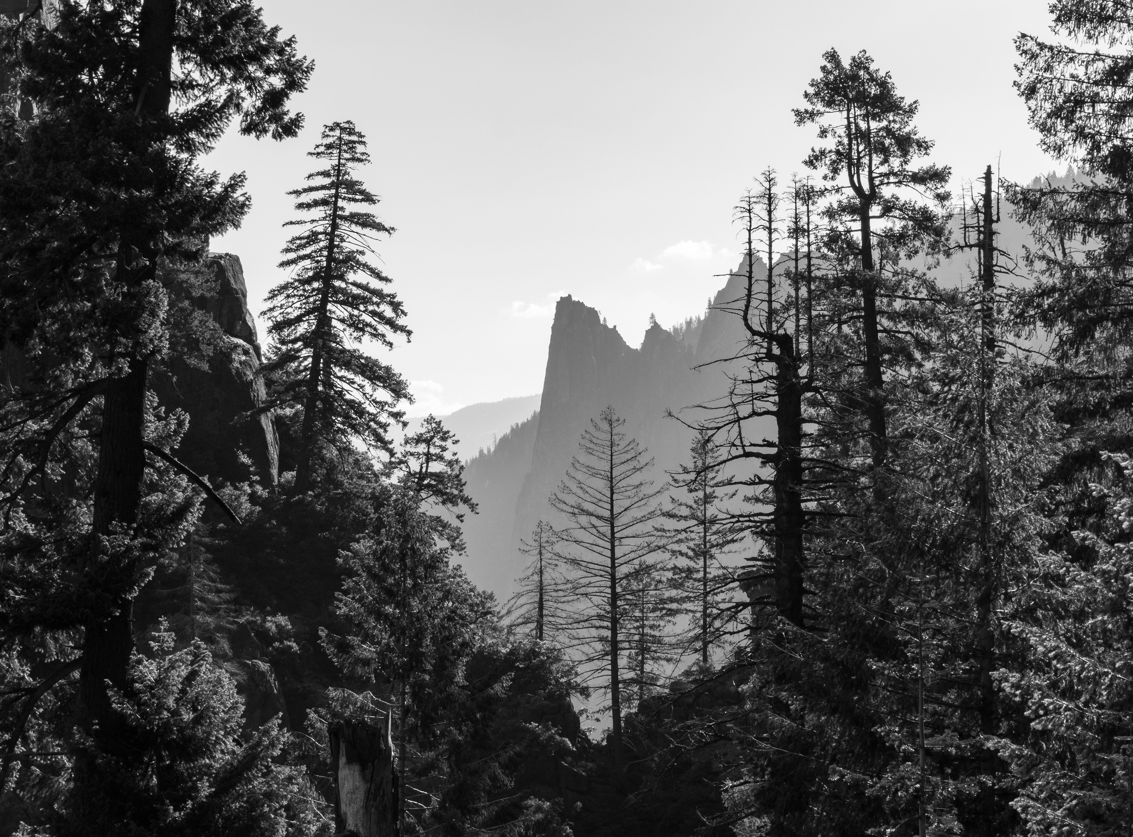 A Distant View of Sentinel Rock
