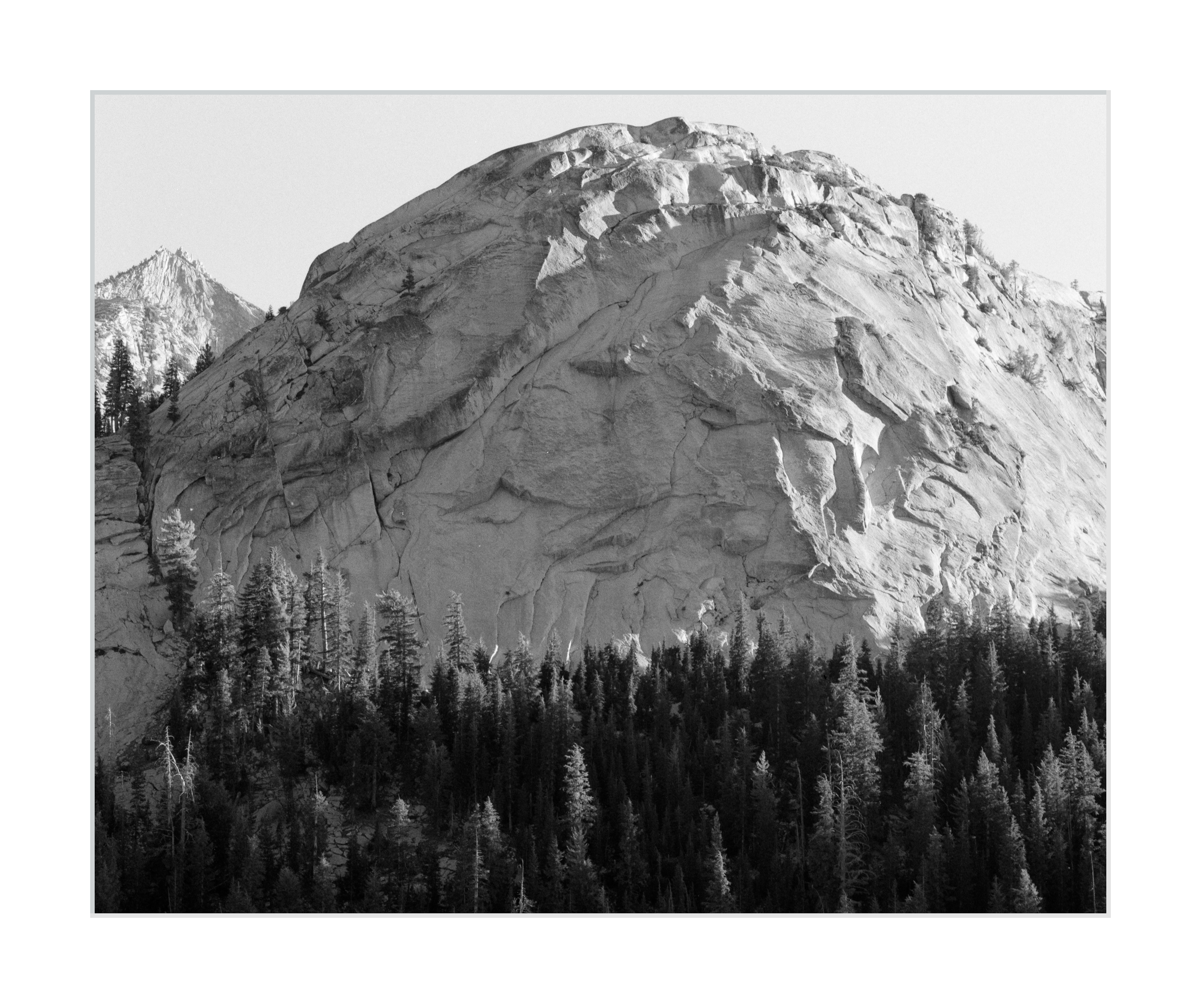 A Granite Dome Overlooking Tuolumne Meadows