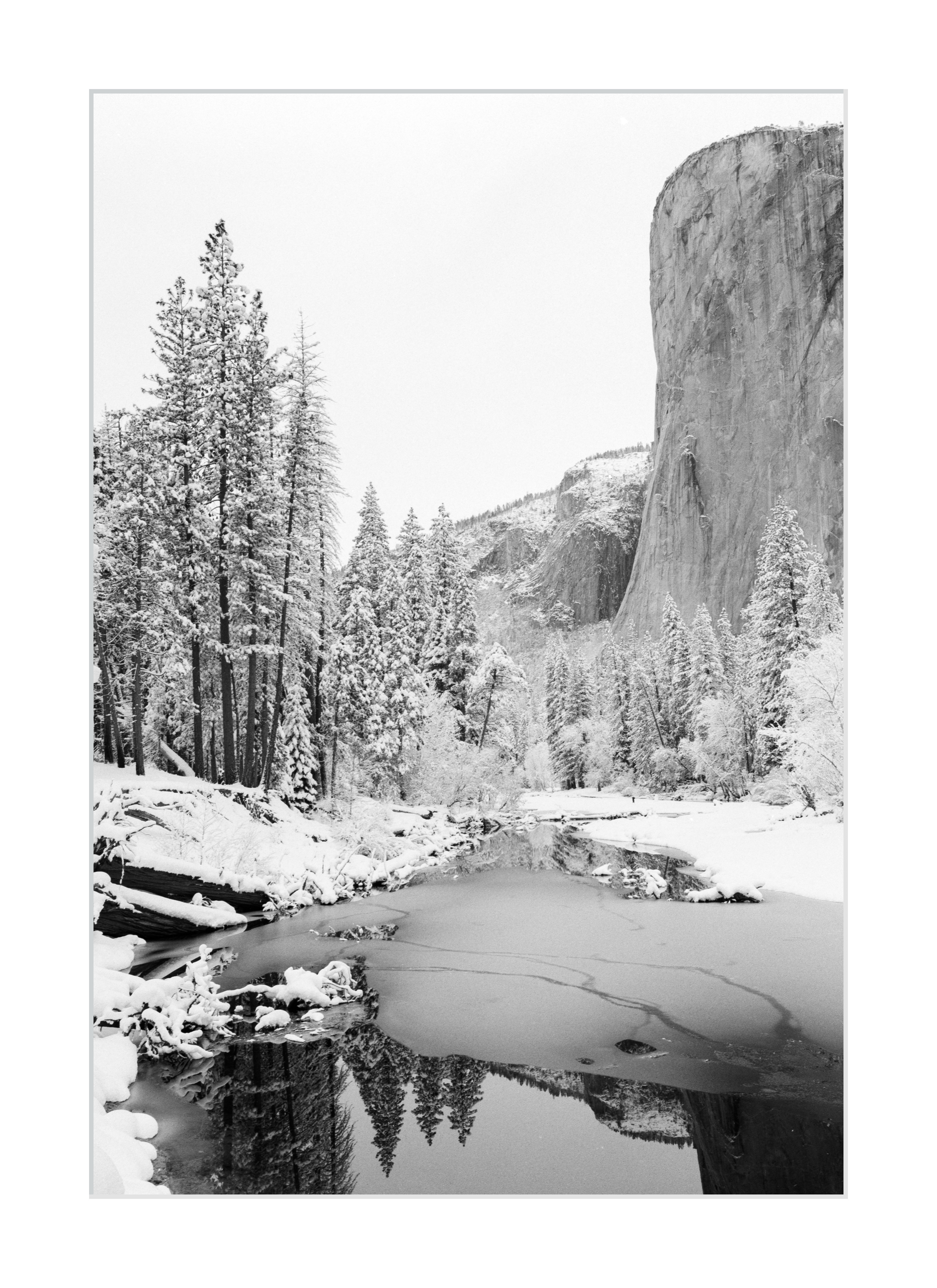 Winter Along the Merced