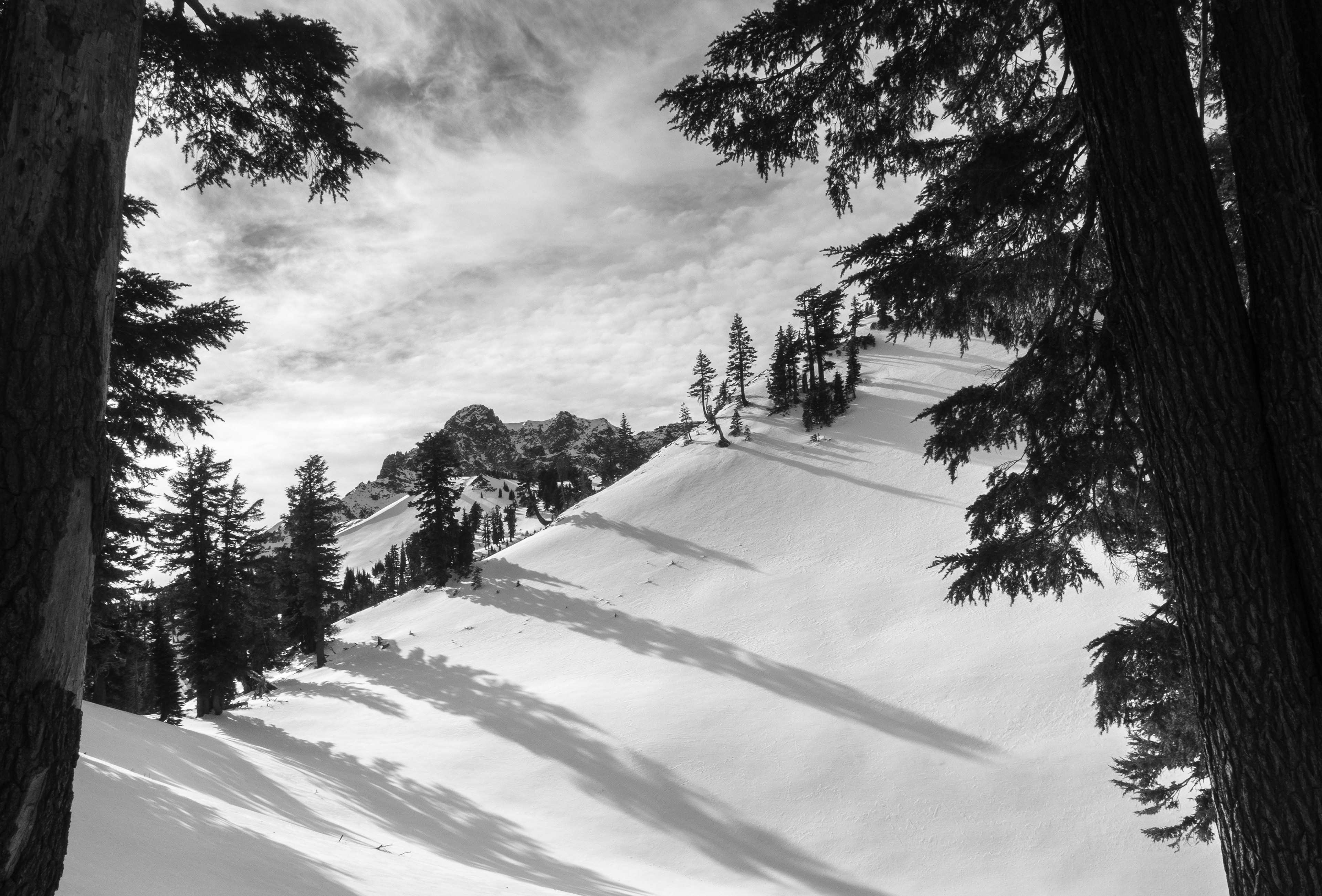 Brokeoff Mountain Between Trees