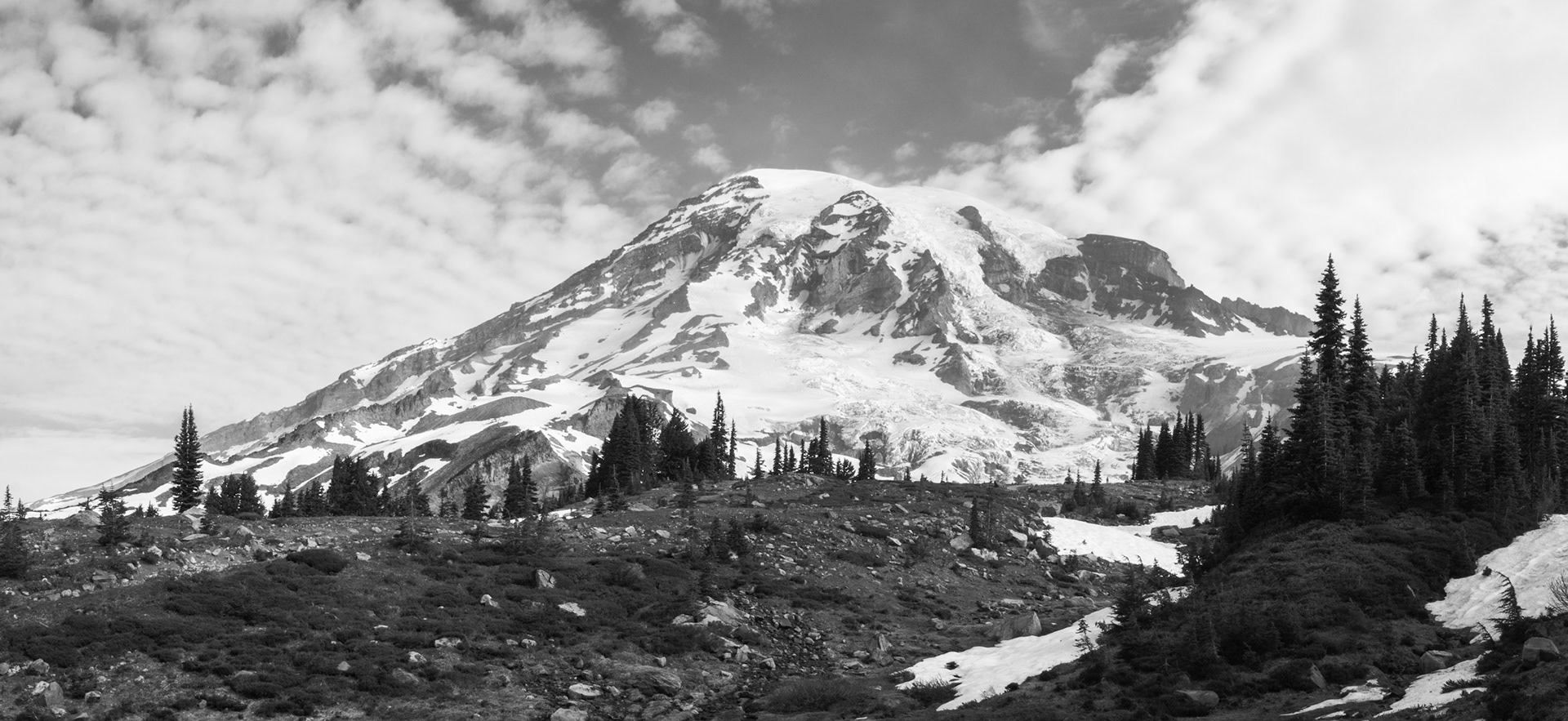 Mount Rainier Landscape
