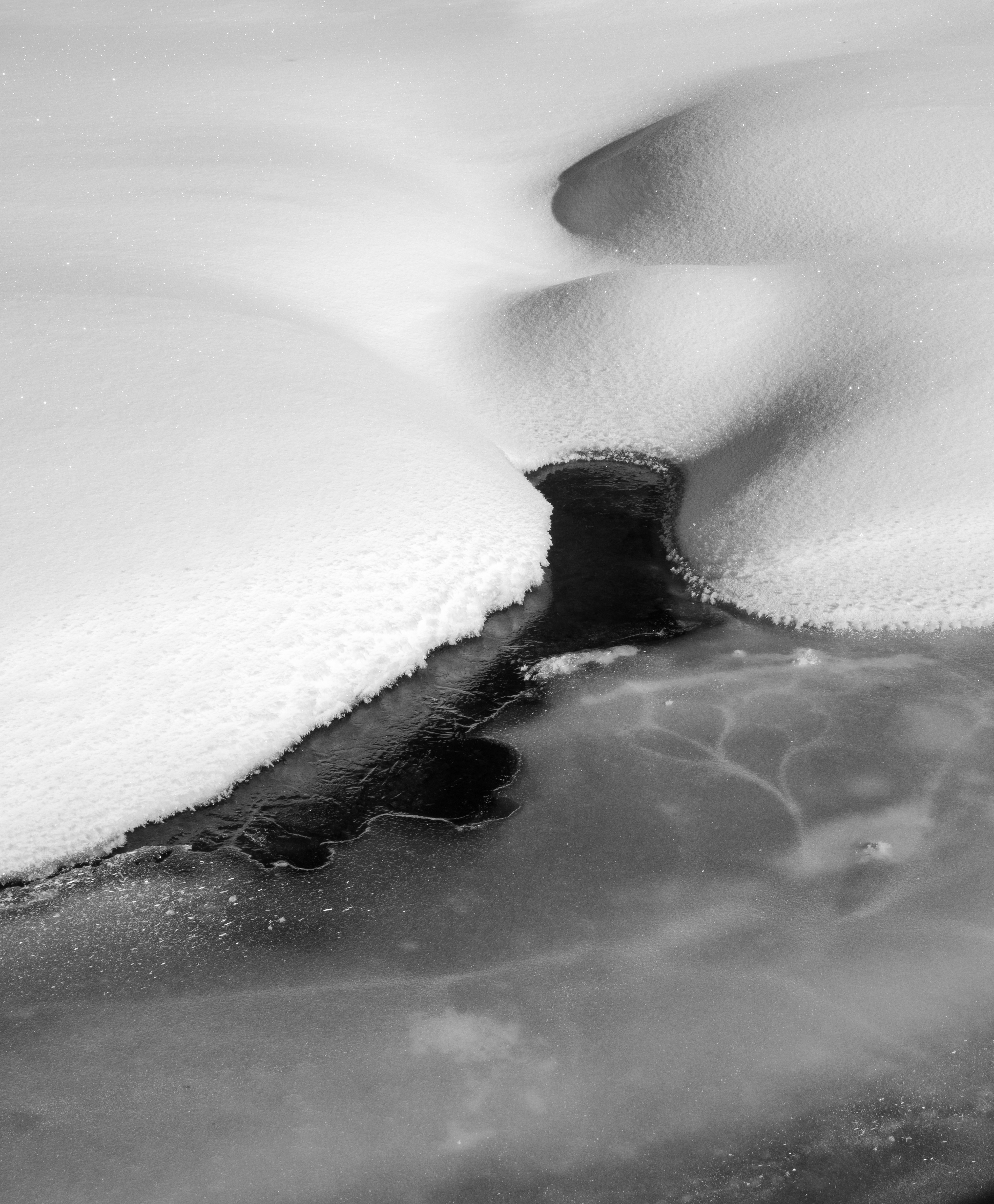 A Thawing Creek in Toiyabe National Forest