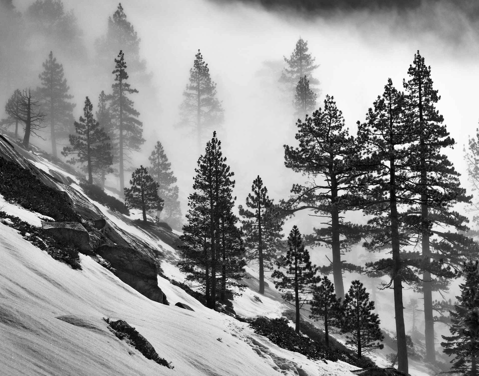 The Forest Approaches