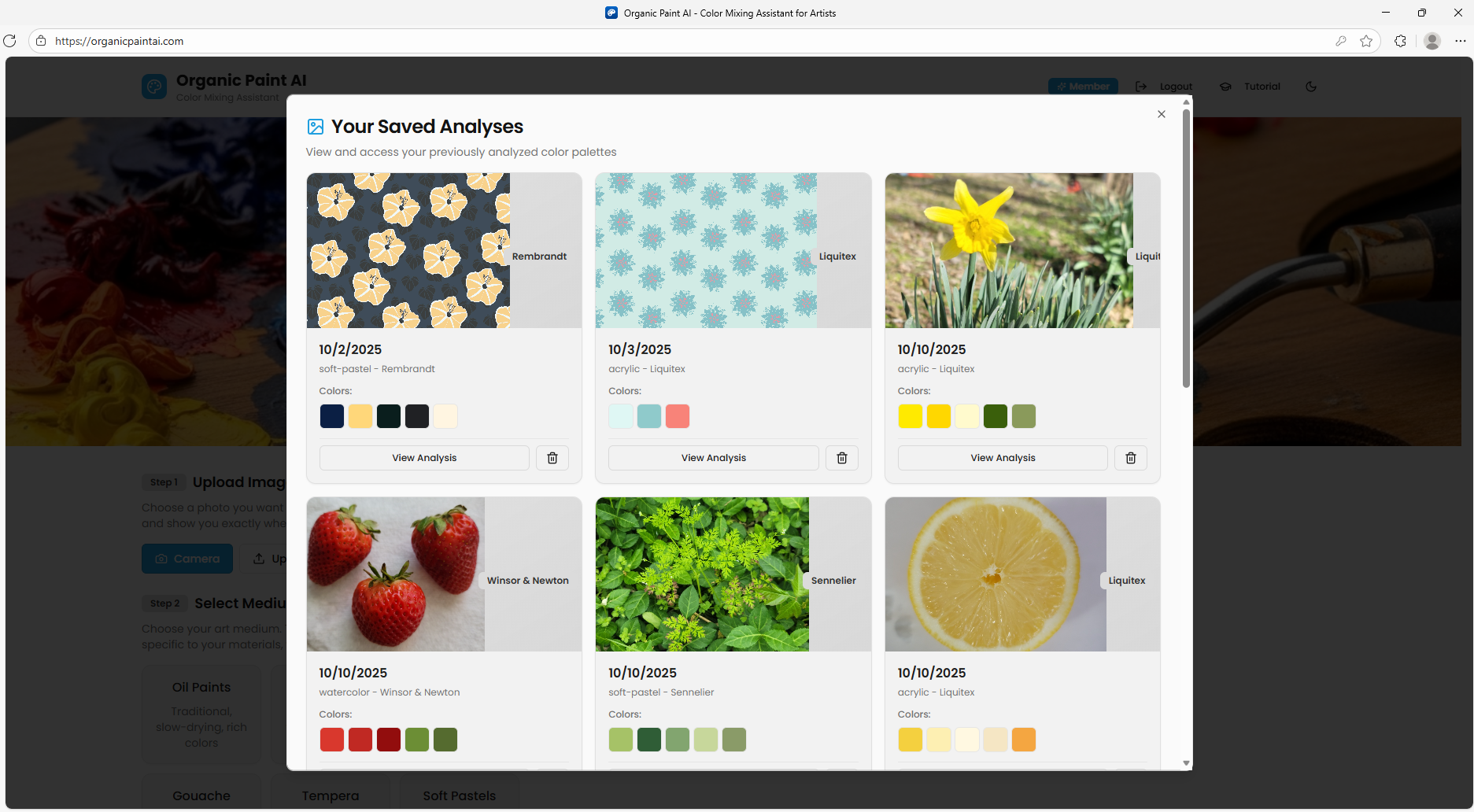 Saved analyses for photos uploaded to Organic Paint AI.