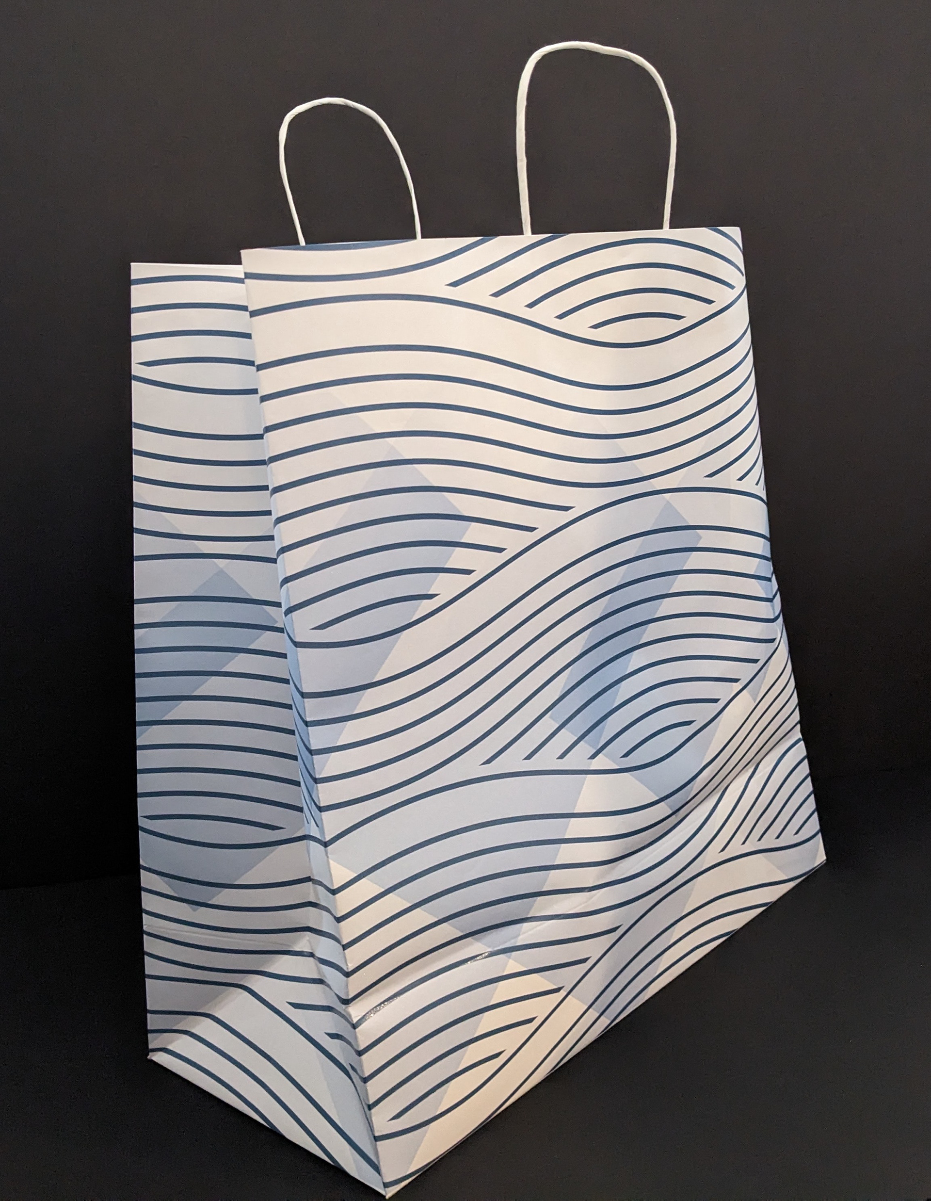 Custom wrap around paper bag design for a feature film