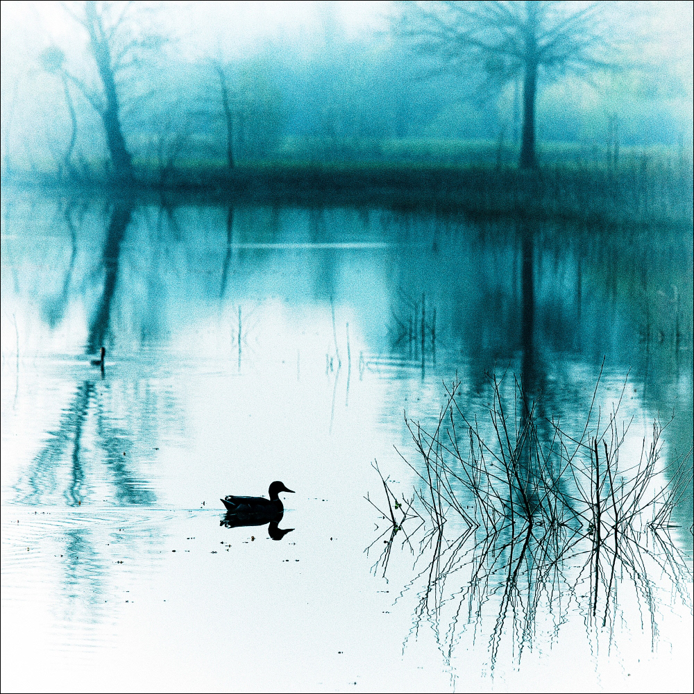 Blues