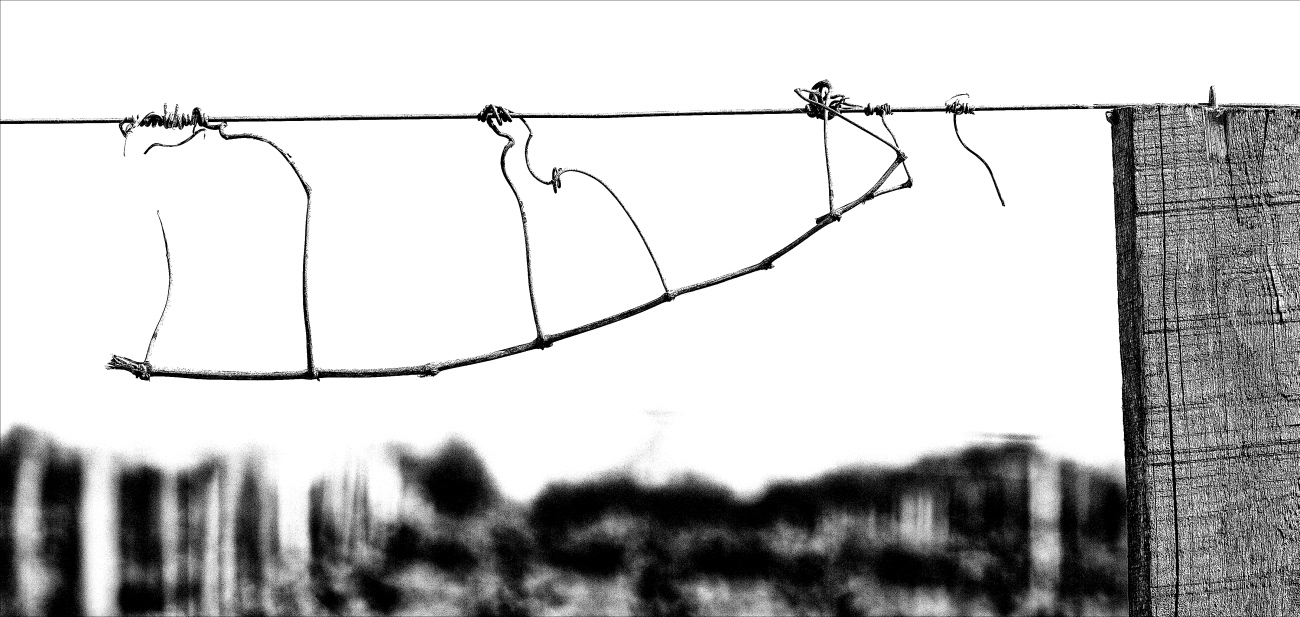 Evasion