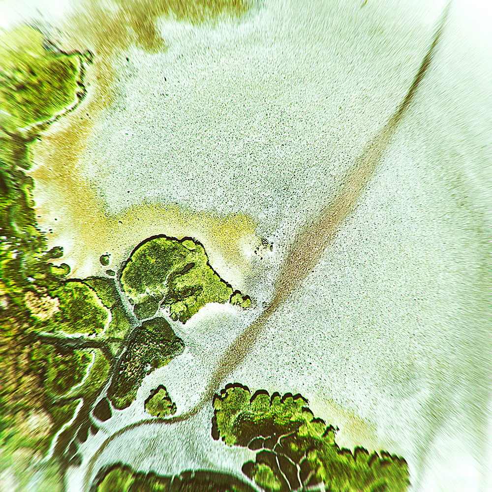 Microcosme