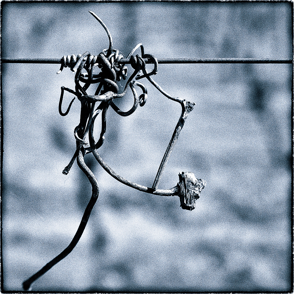 Imbroglio