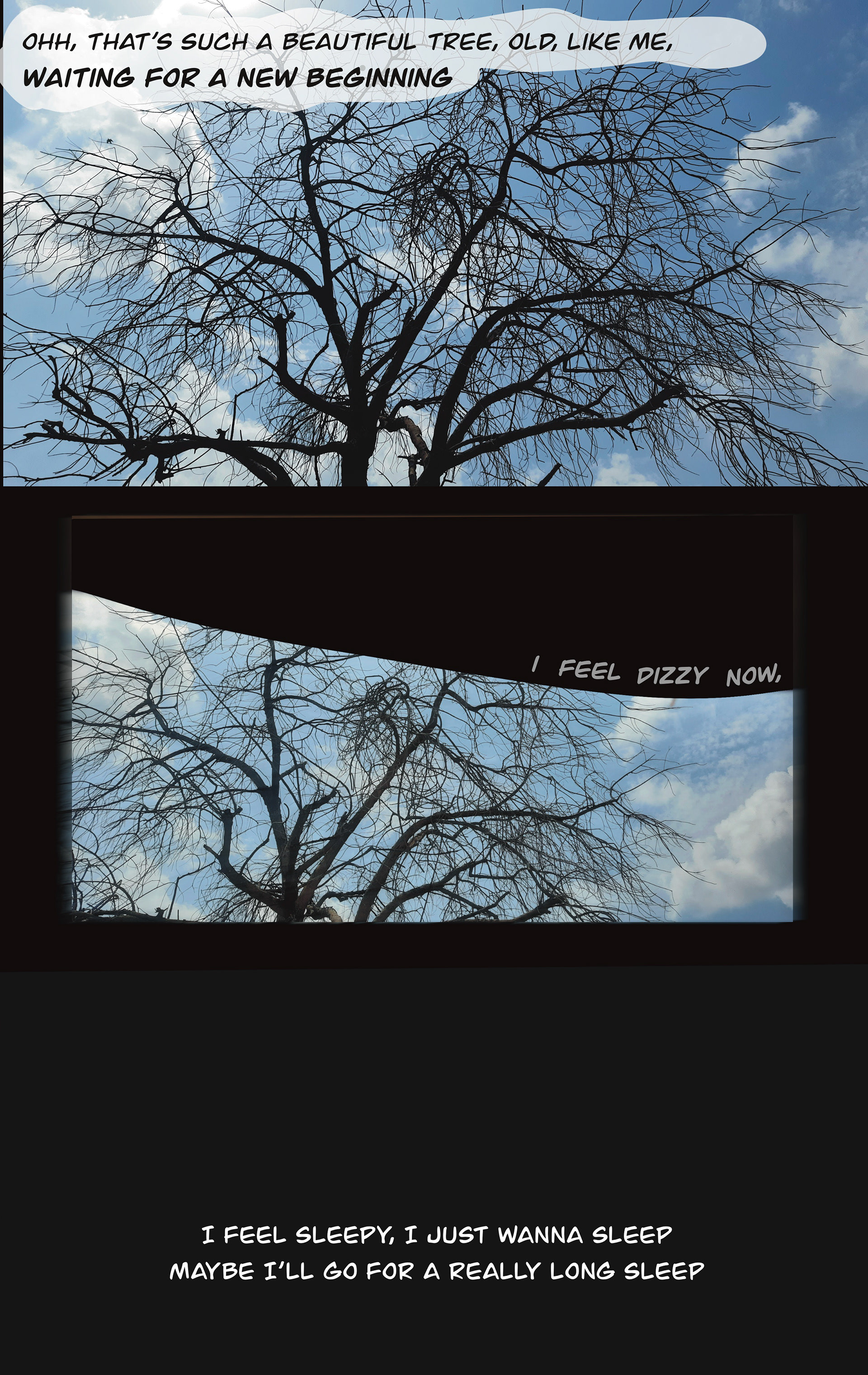 THE DENOUEMENT (3/3)