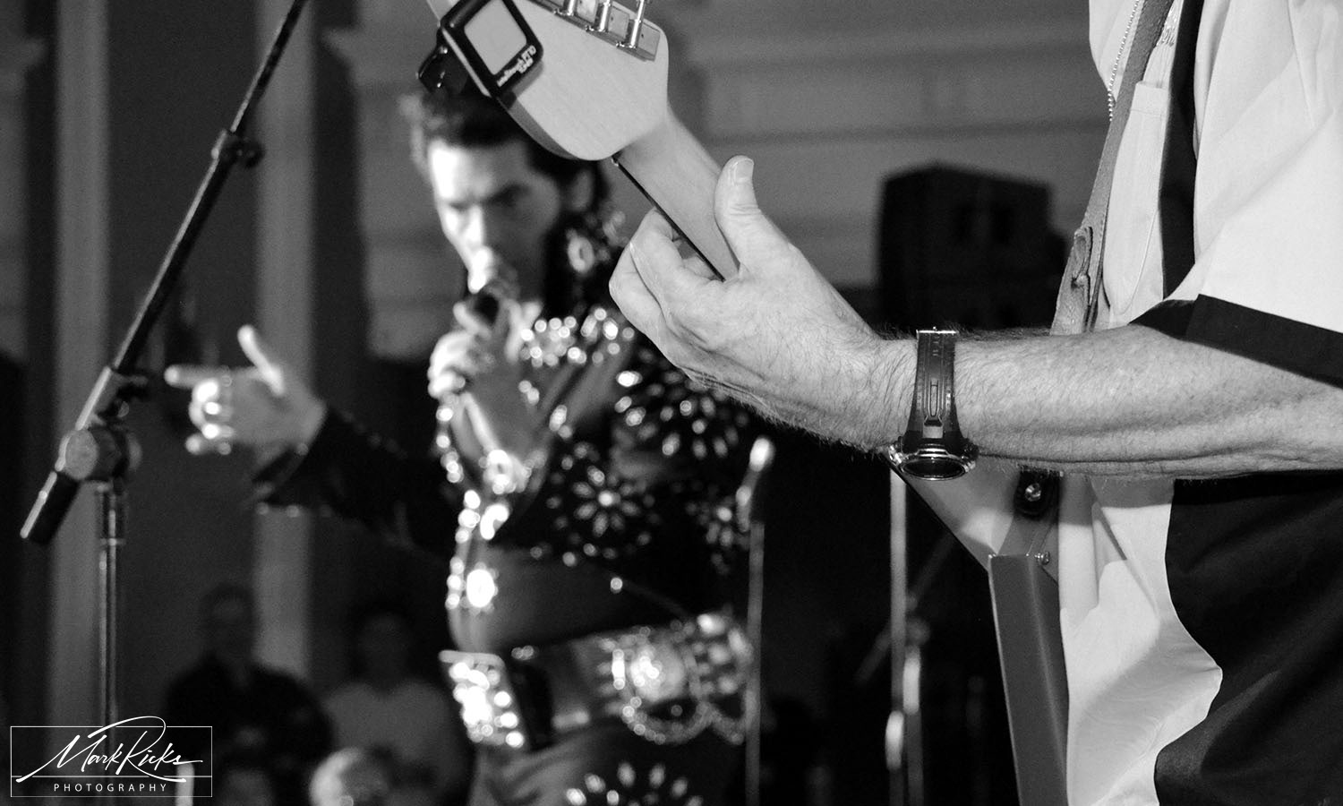 Night of 100 ELVISes Event