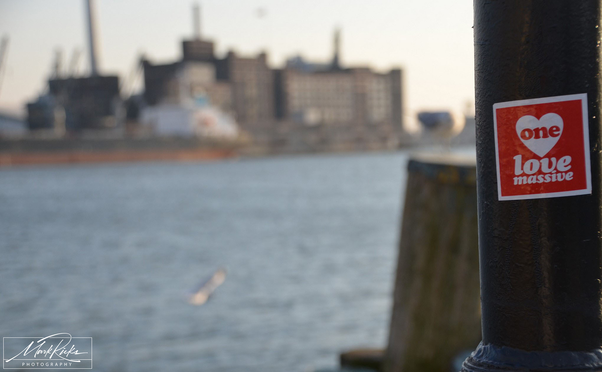 Fells Point Baltimore: One Love Massive