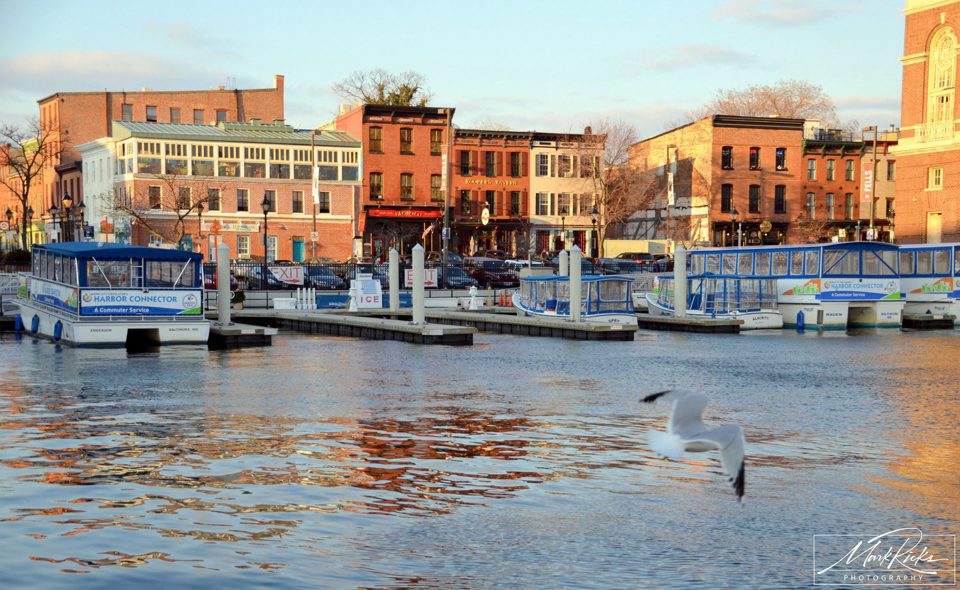 Fells Point Pier