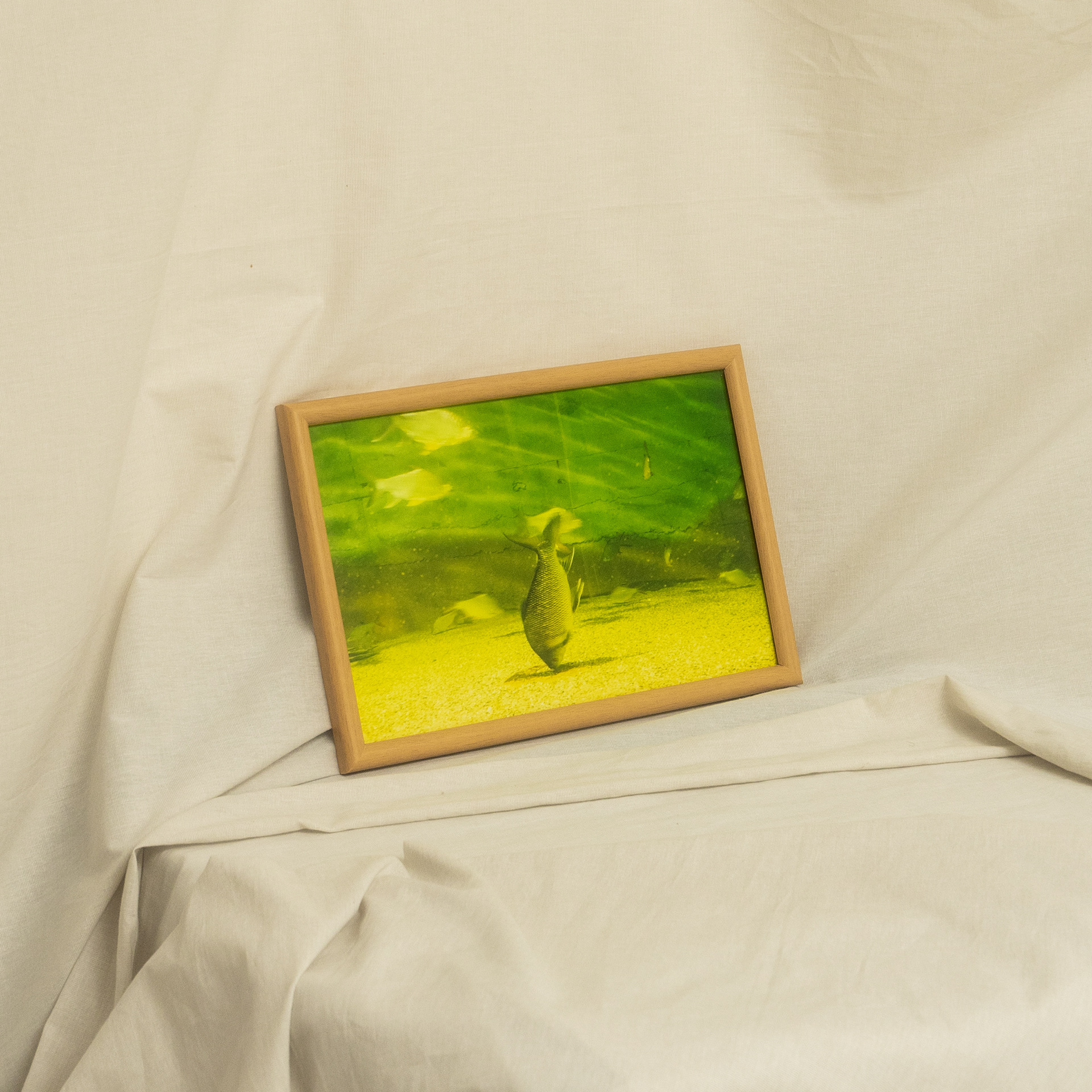 Photo No.3 from photo series "Still Light - Still Life (II)", 2021 . Edition 1 of 1 (1 Copy) Print + frame: 21.5 x 32 cm 1,200 THB