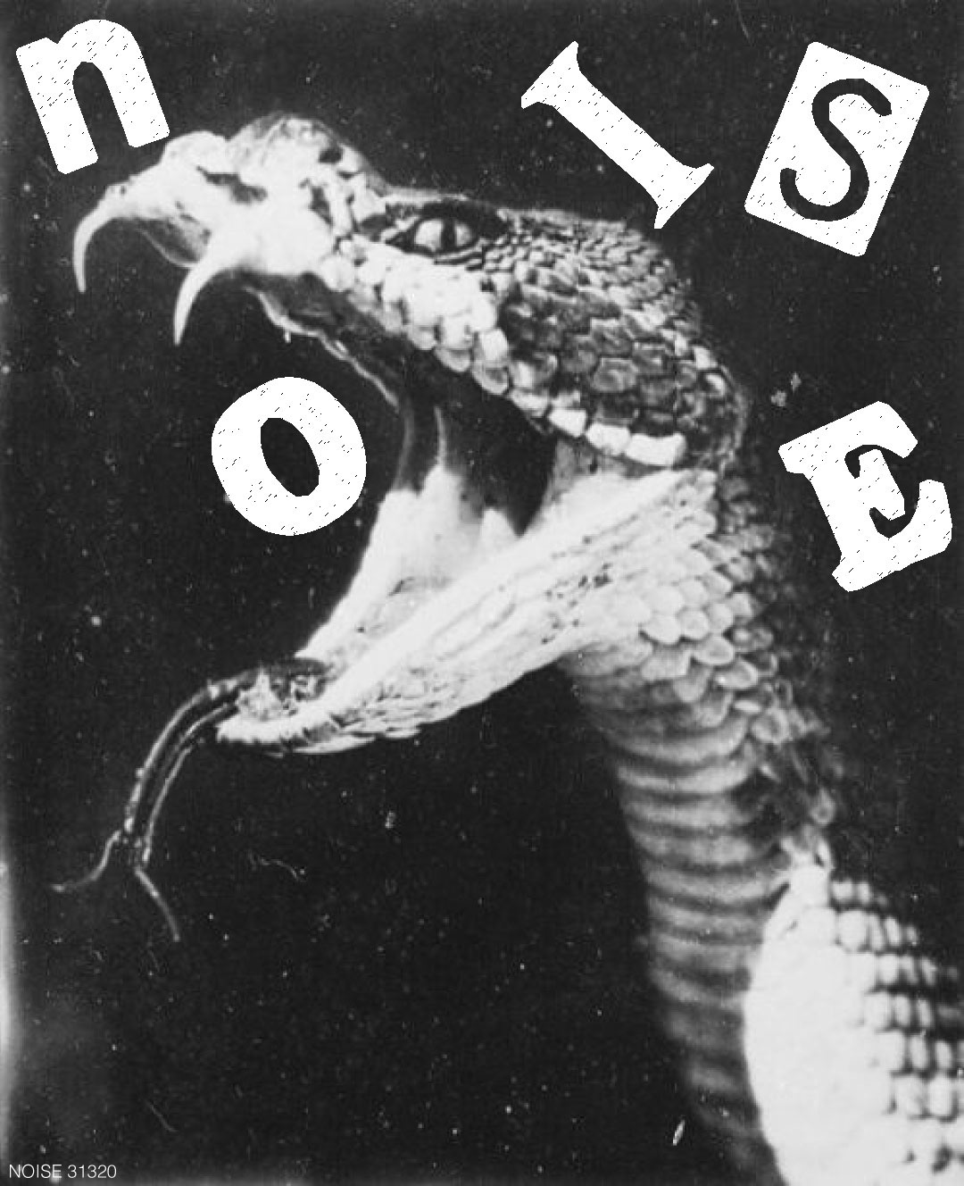 A sticker and/or poster design for "NOISE" mag.