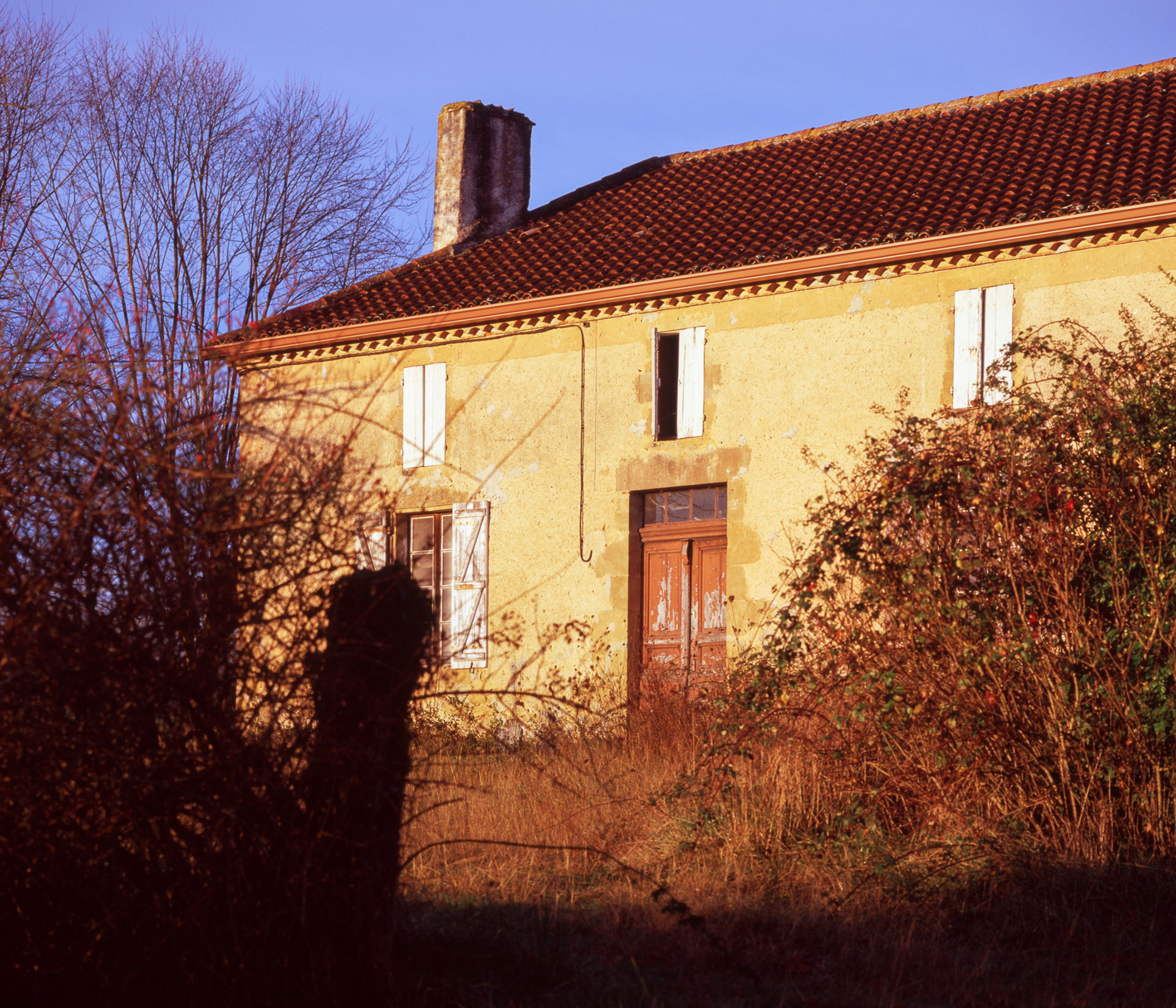 VELVIA 100