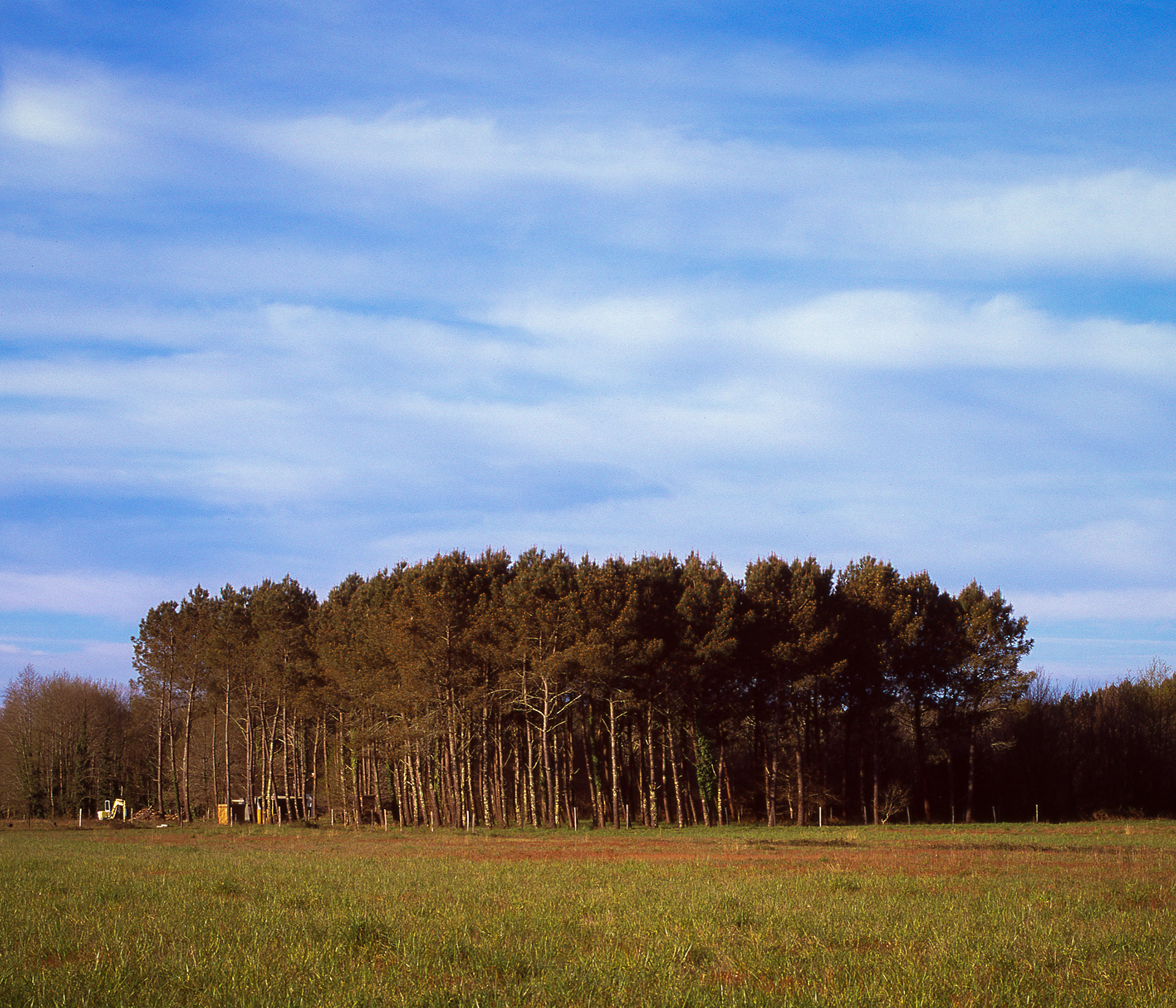 Mamiya RB67 • VELVIA 100 • 2020