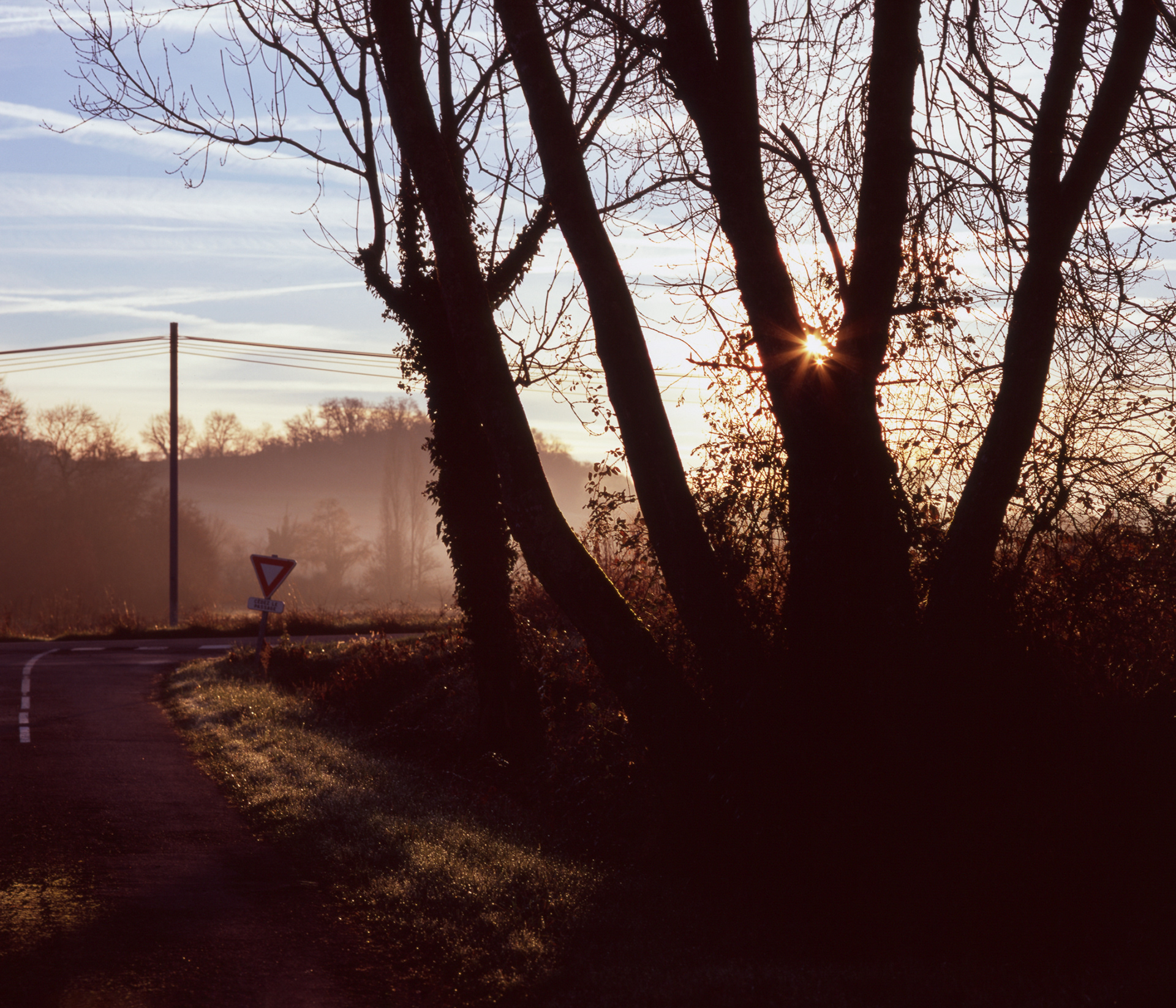 VELVIA 100