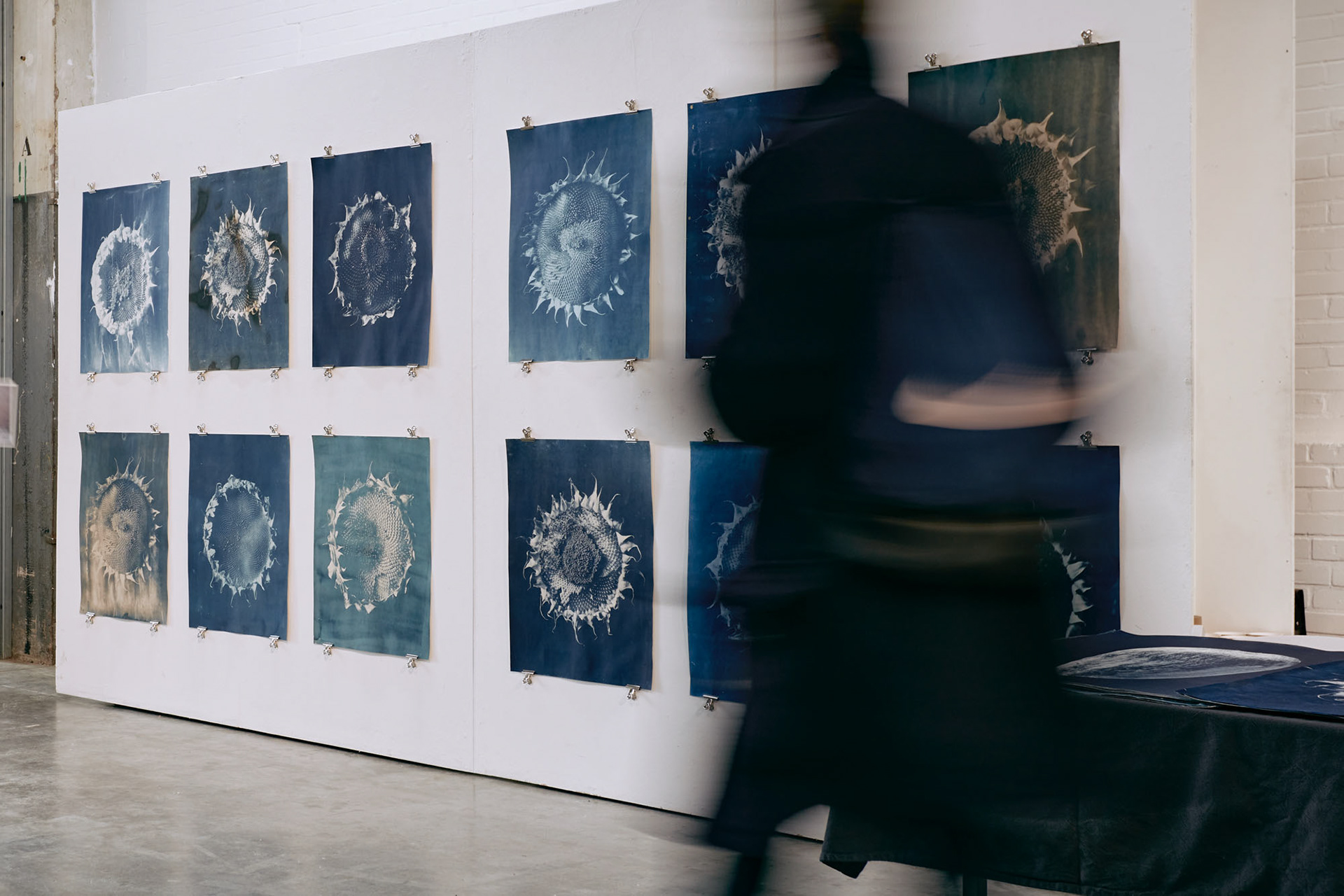 Installation view at By Photographers fair of cyanotype prints toned using several techniques 