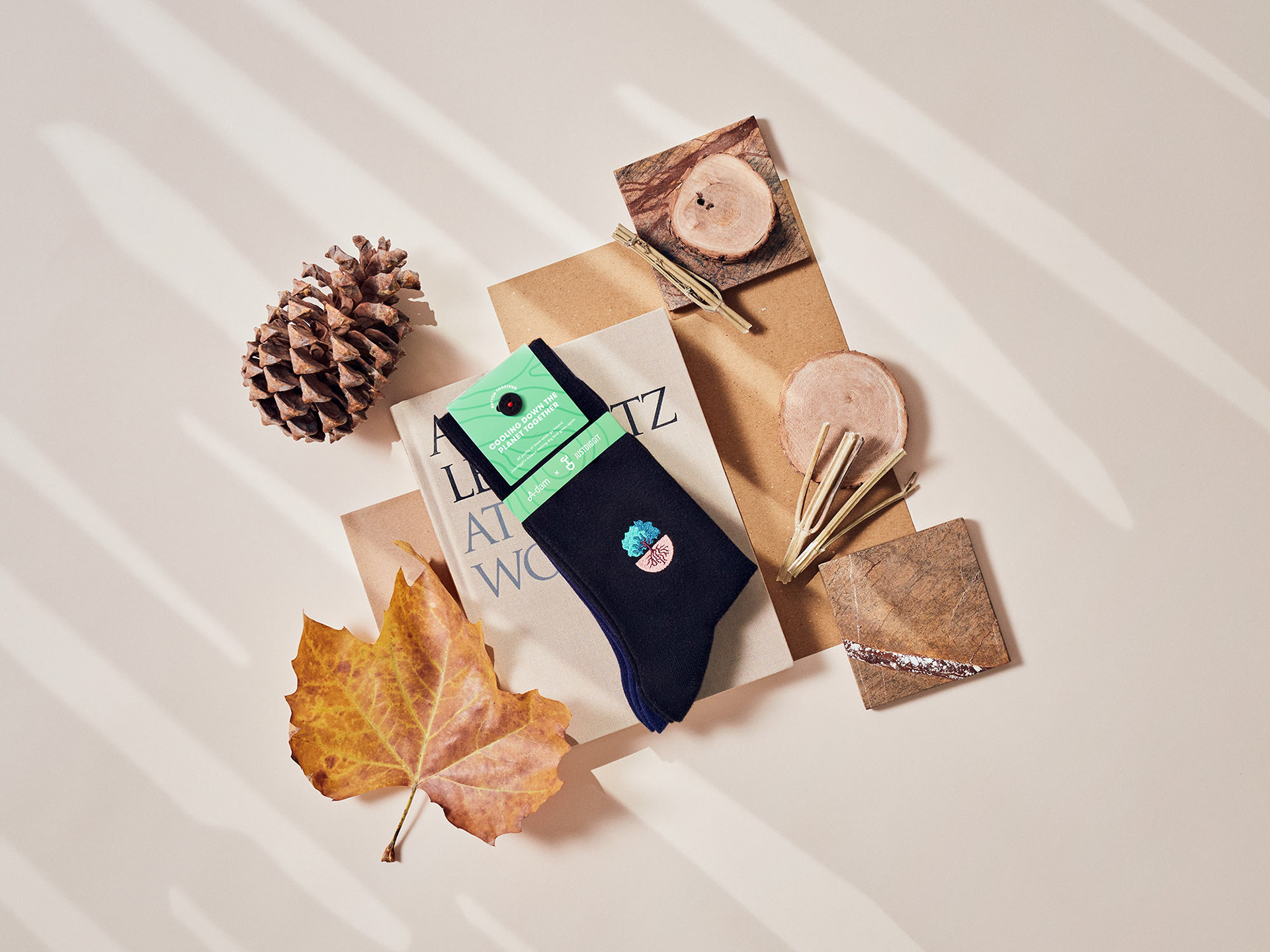 Black socks with tree embroidery designed for Justdiggit on the side lying on a coffee table book surrounded by natural objects.