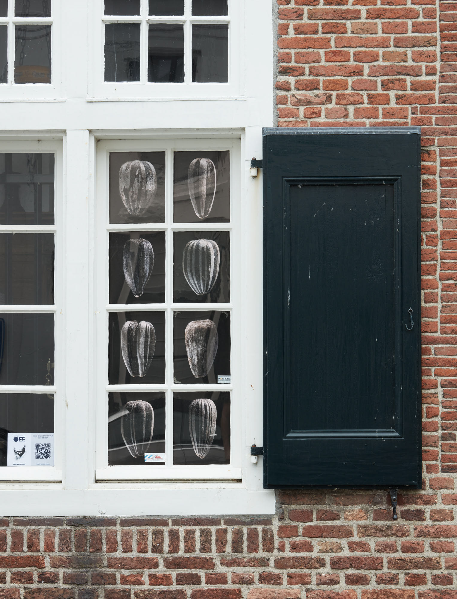 Exterior image of macro images from sunflower seeds shown at Weegschaal museum during Festival OFF 2021