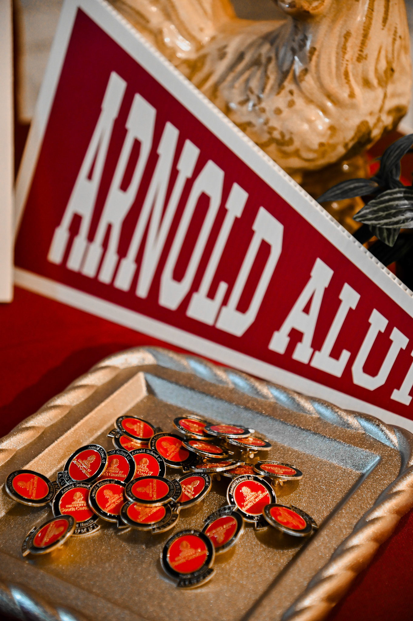 Close-up of Arnold School lapel pins