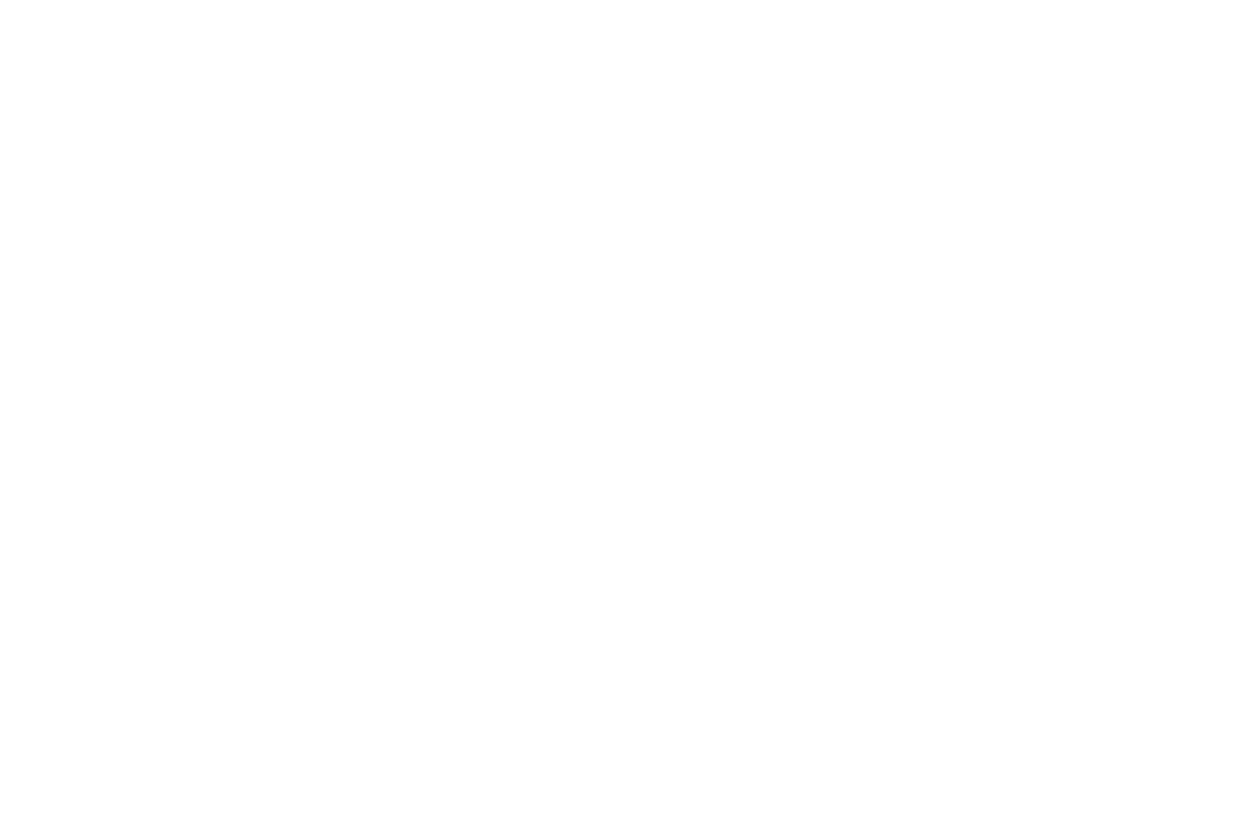 Katia Weber