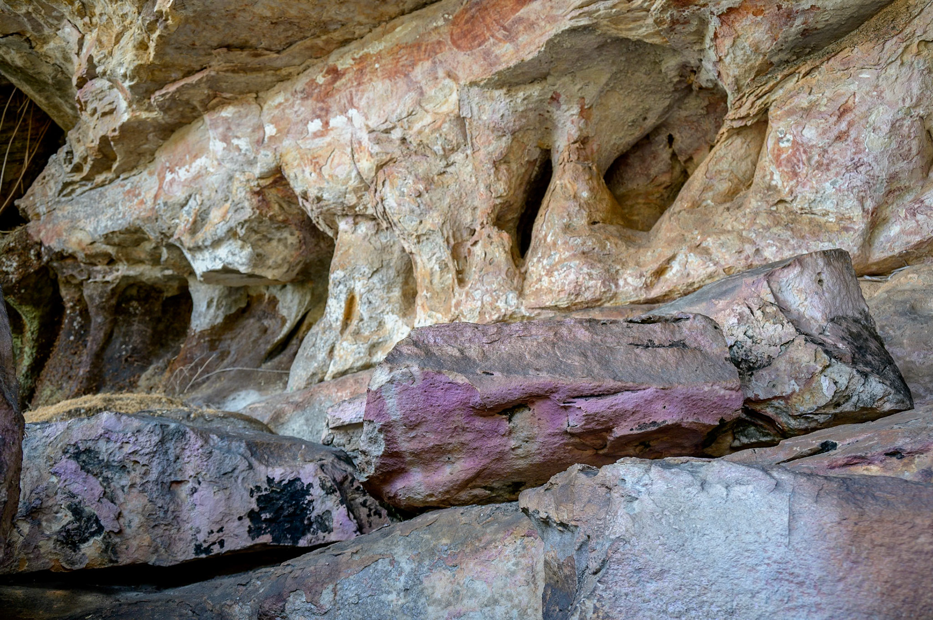 Rock Art of Mt. Borradaile
