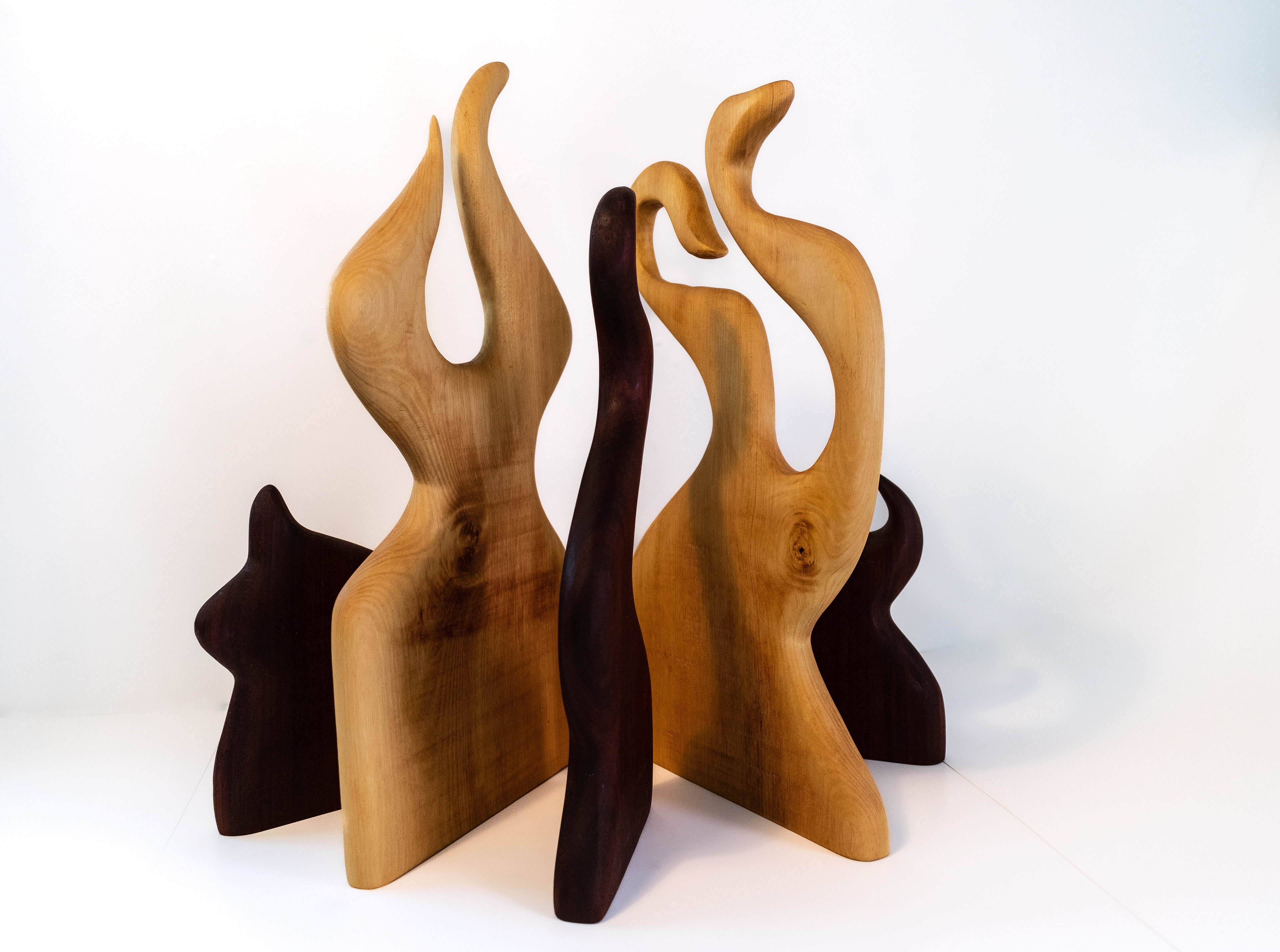 Animo, 2022. Hardwood.  1 x 1 foot space. 